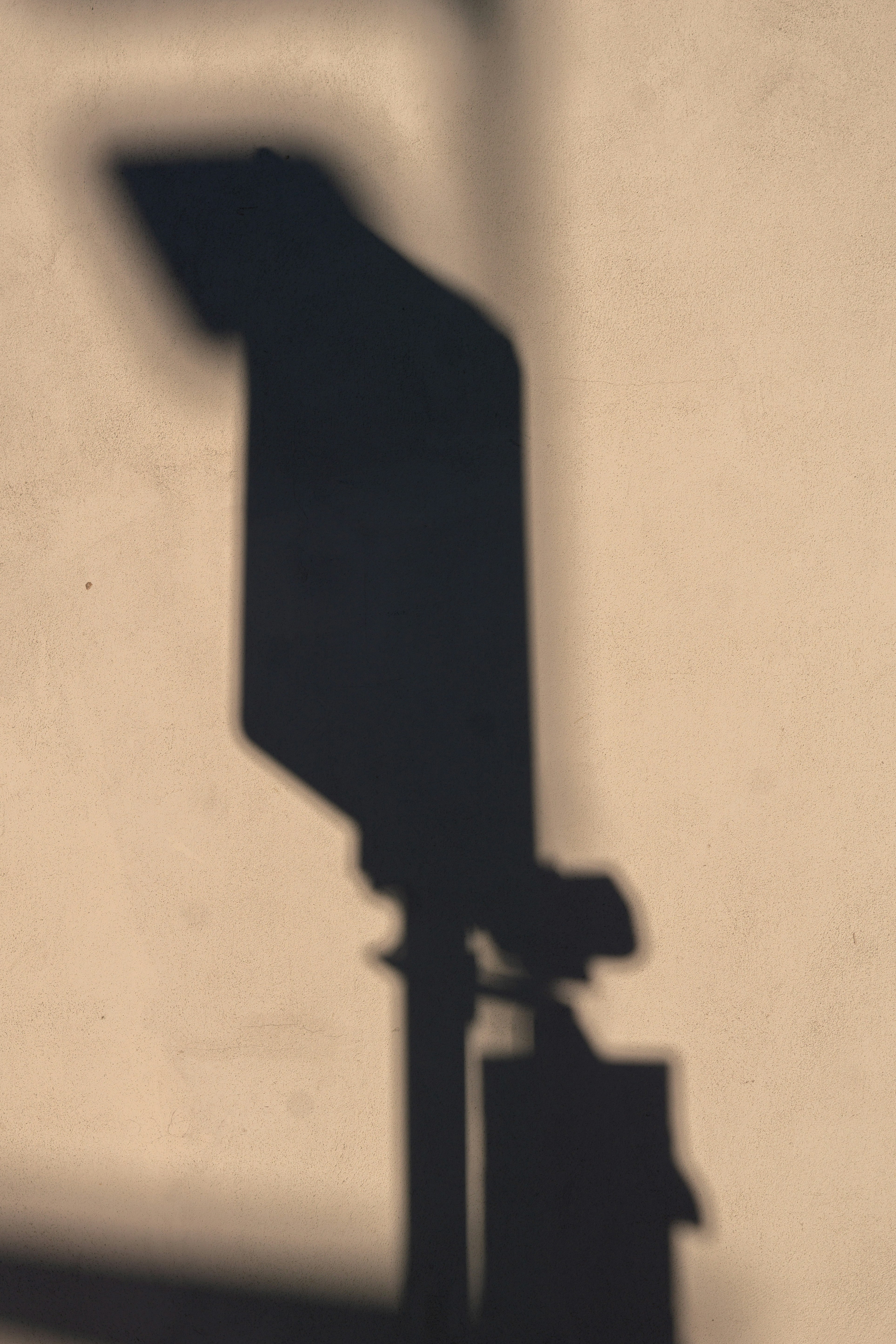 Photo by andreeapop_