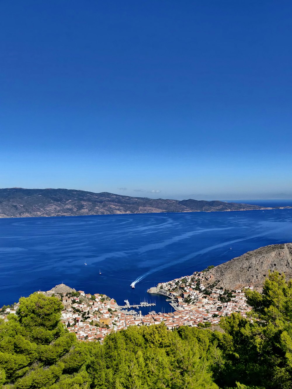 aerial view of green trees and blue sea during daytime