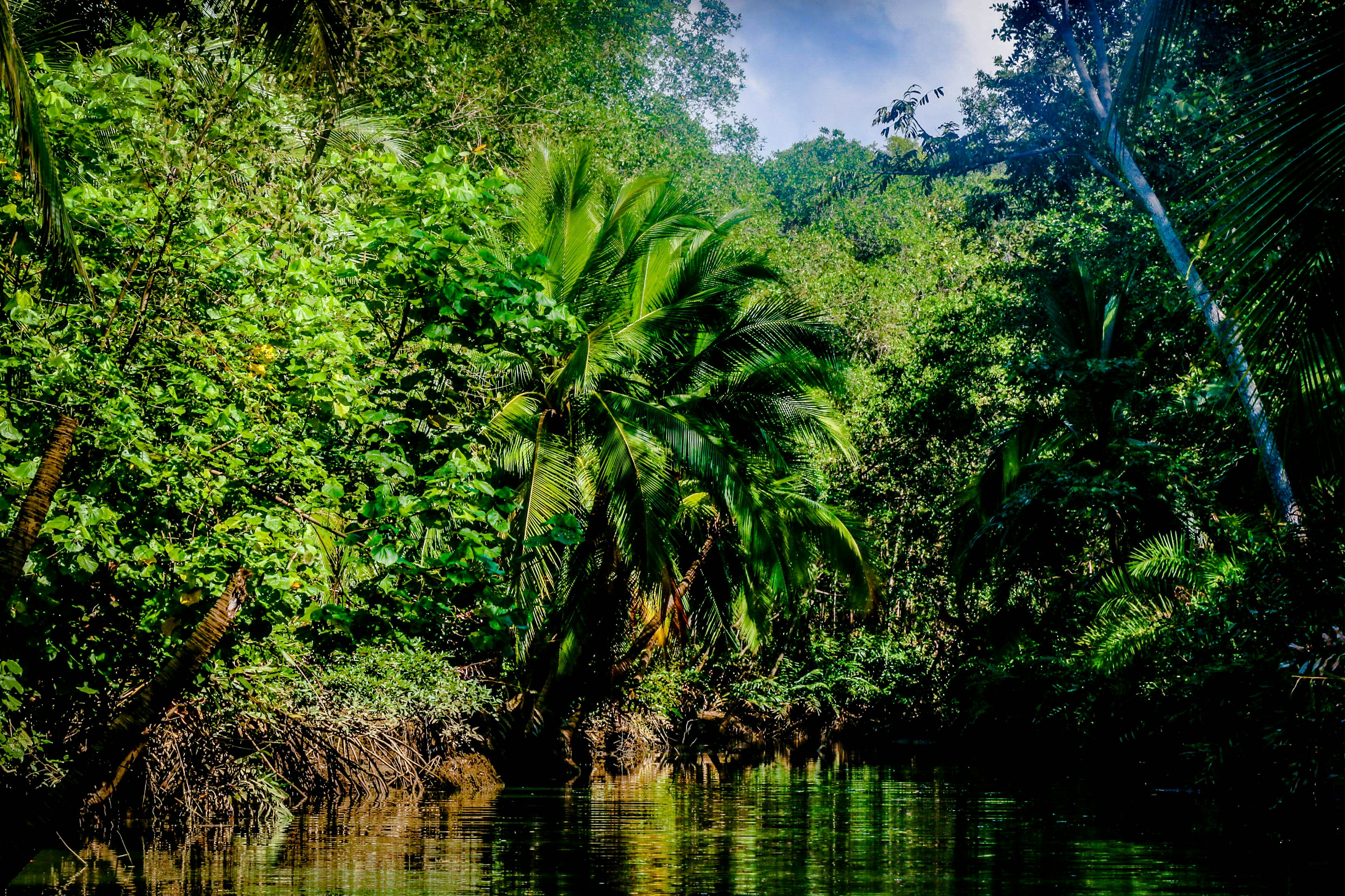 Photo by michaelhystead