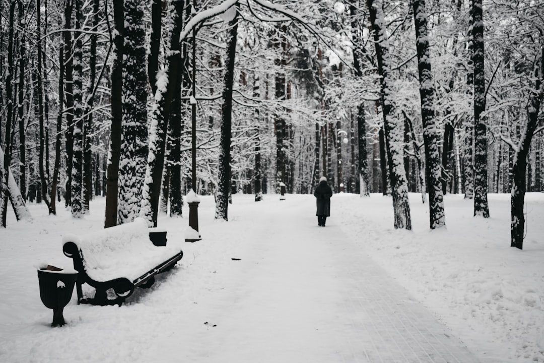 person in black jacket standing on snow covered ground surrounded by trees during daytime