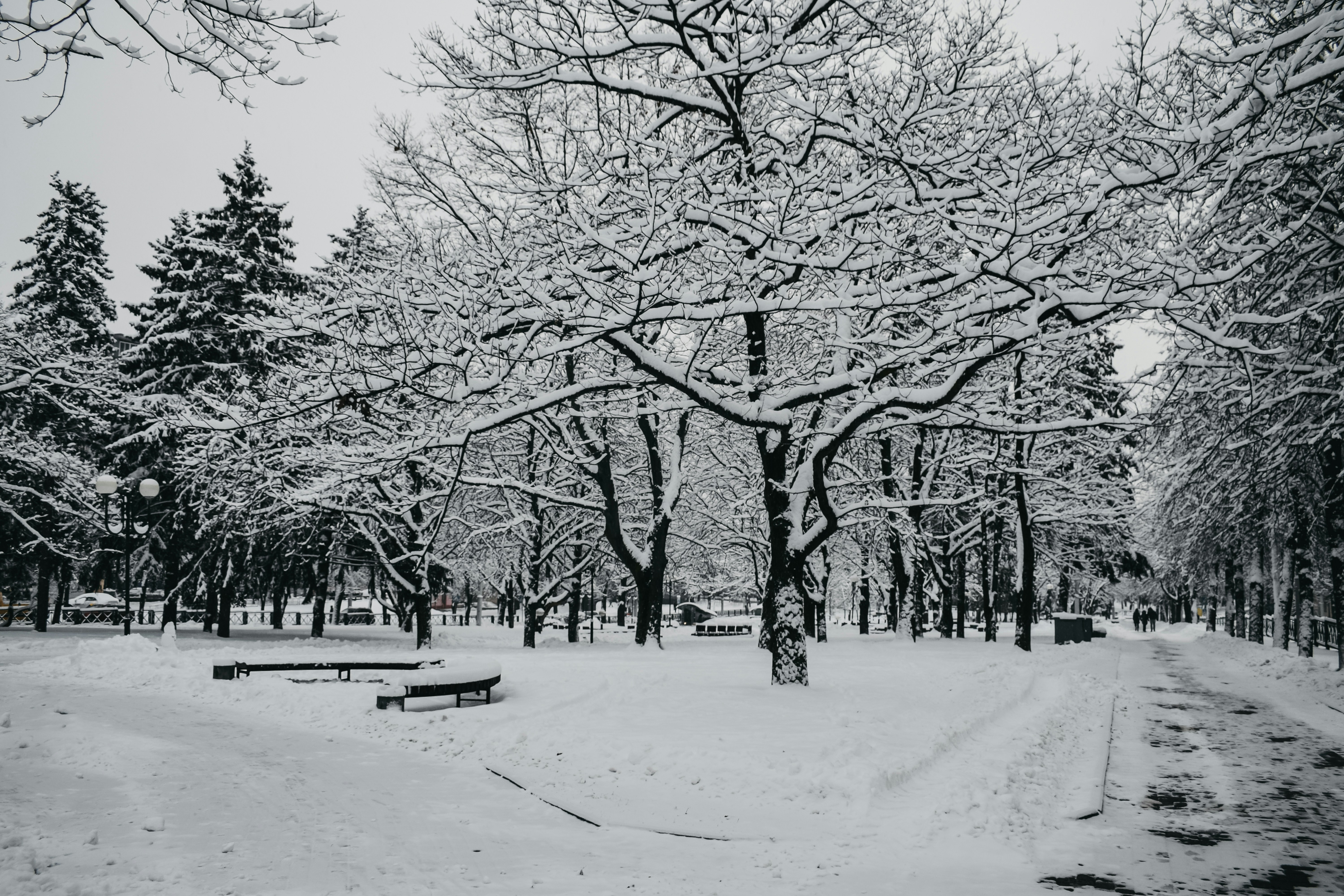 Photo by darya_tryfanava