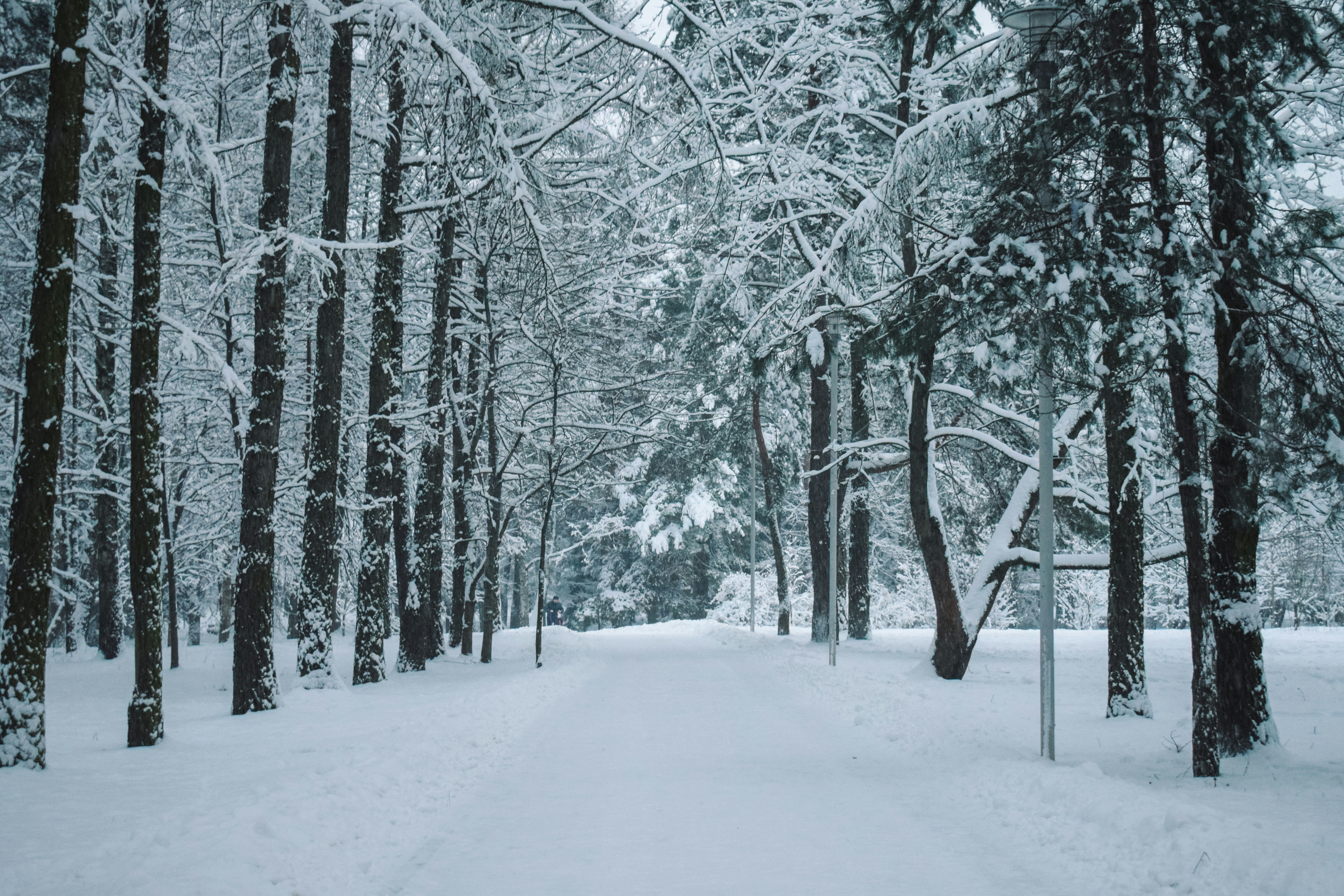 Photo by darya_tryfanava