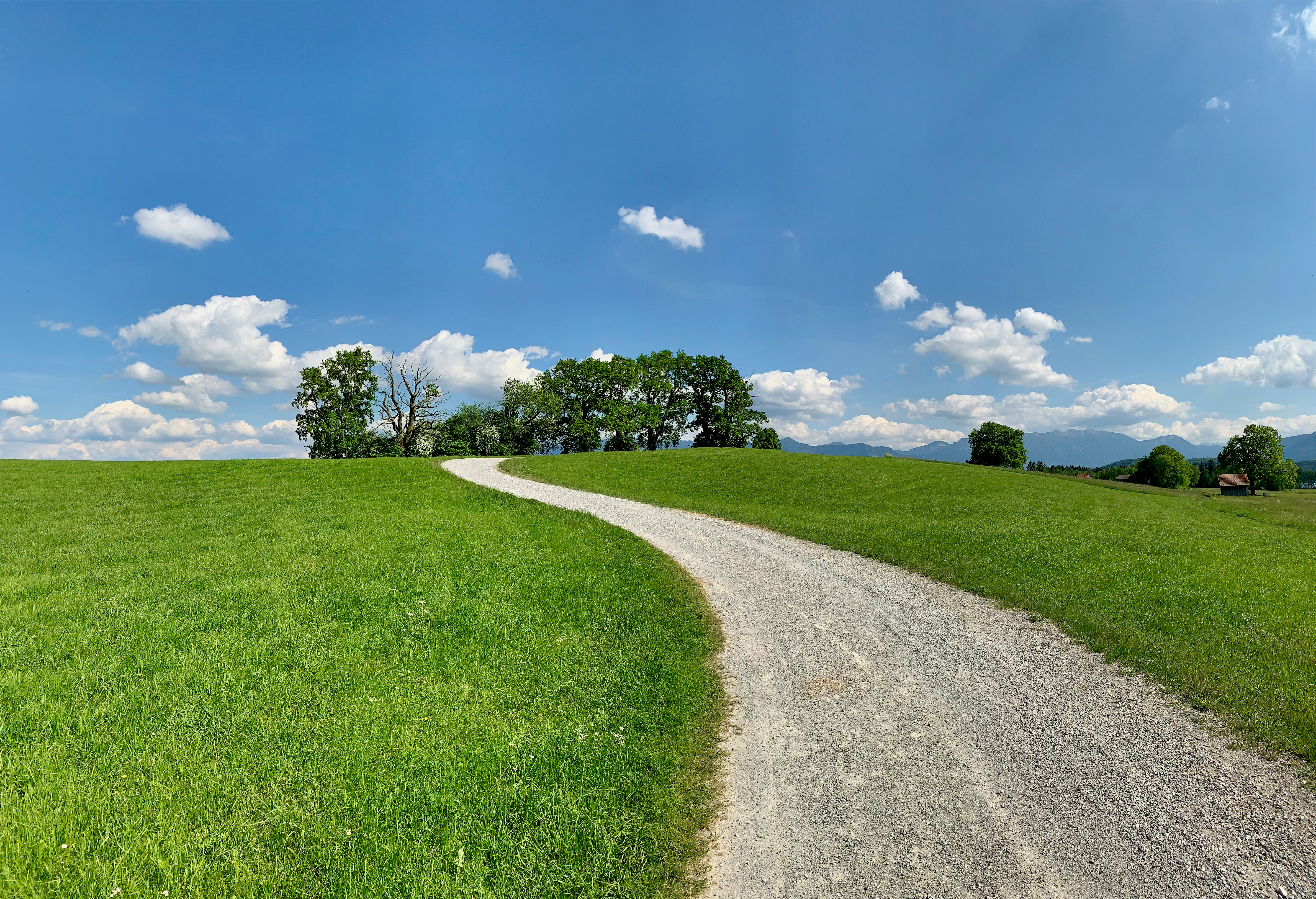 Green Path Pictures Download Free Images On Unsplash