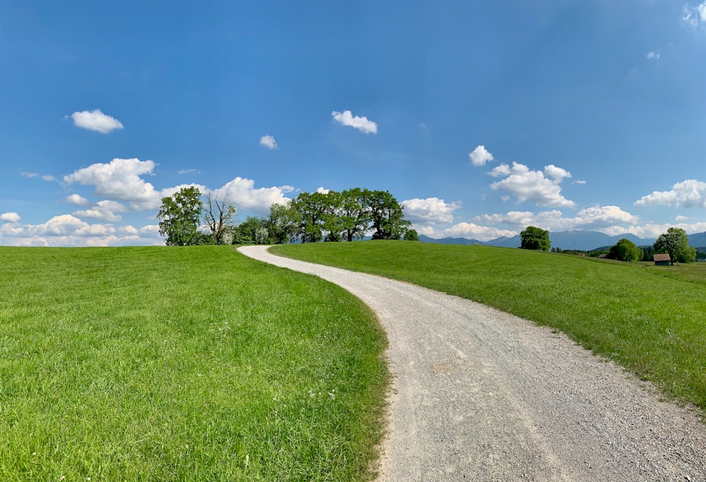 a dirt road going through a lush green field