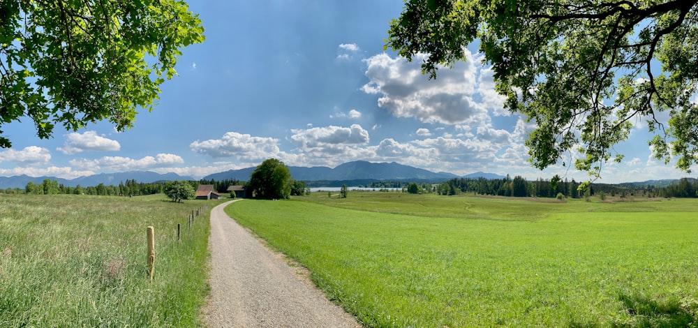 Grünes Grasfeld unter blauem Himmel tagsüber