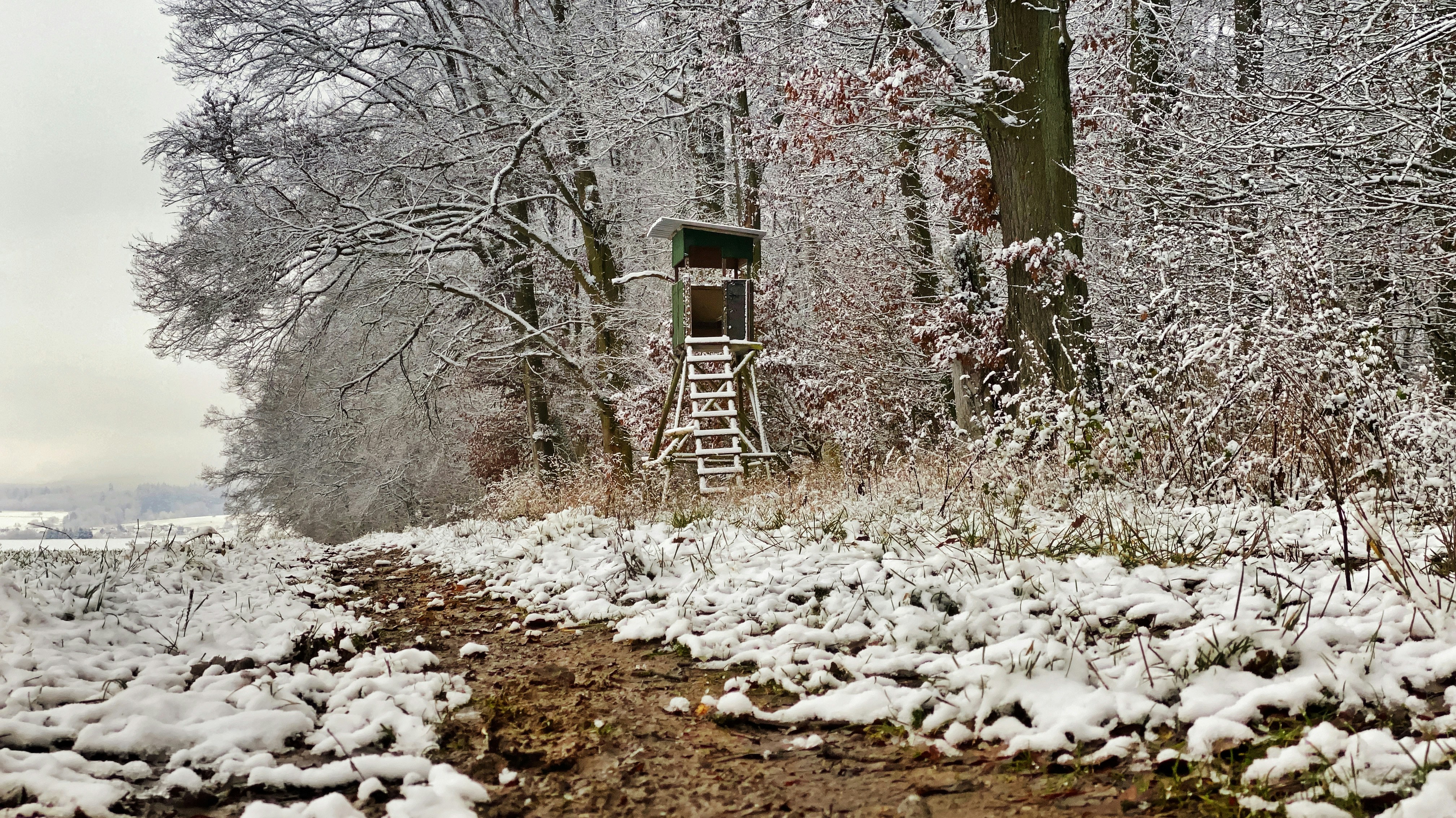 Brown wooden ladder on snow covered ground photo – Free Flower Image on ...