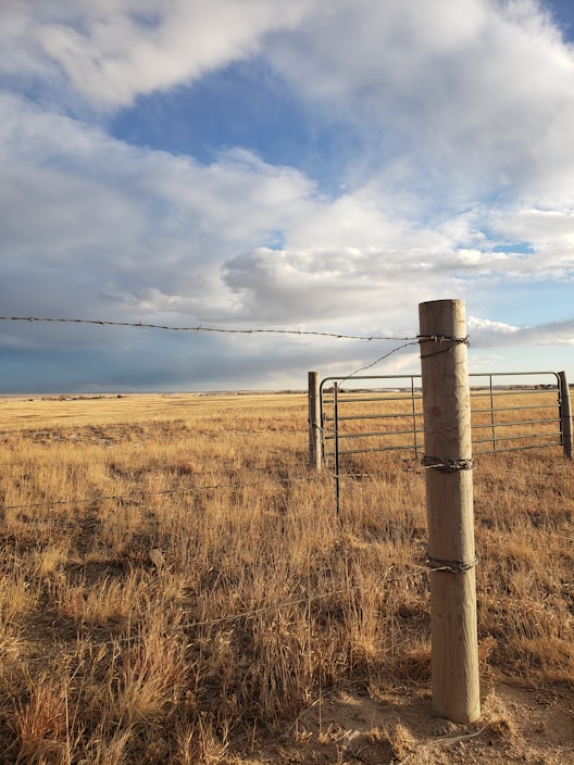 A vast, dry grassland stretches out under a sky filled with a mix of clouds. A wooden post with barbed wire is prominently featured in the foreground, marking a boundary along the landscape. In the background, a metal gate is visible, slightly open, adding to the sense of emptiness and openness of the prairie.