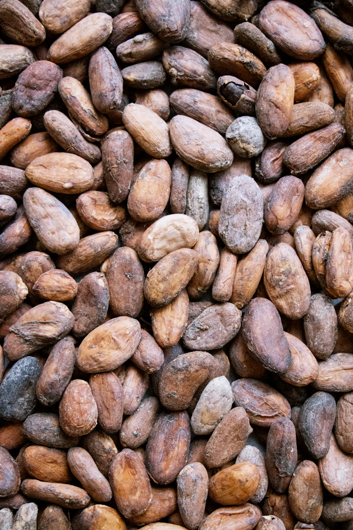 Close-up of dried cocoa beans showing their ridged brown husks