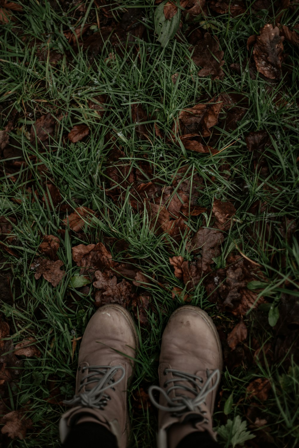 茶色の革靴を履いた人が茶色の枯れ葉の上に立っている