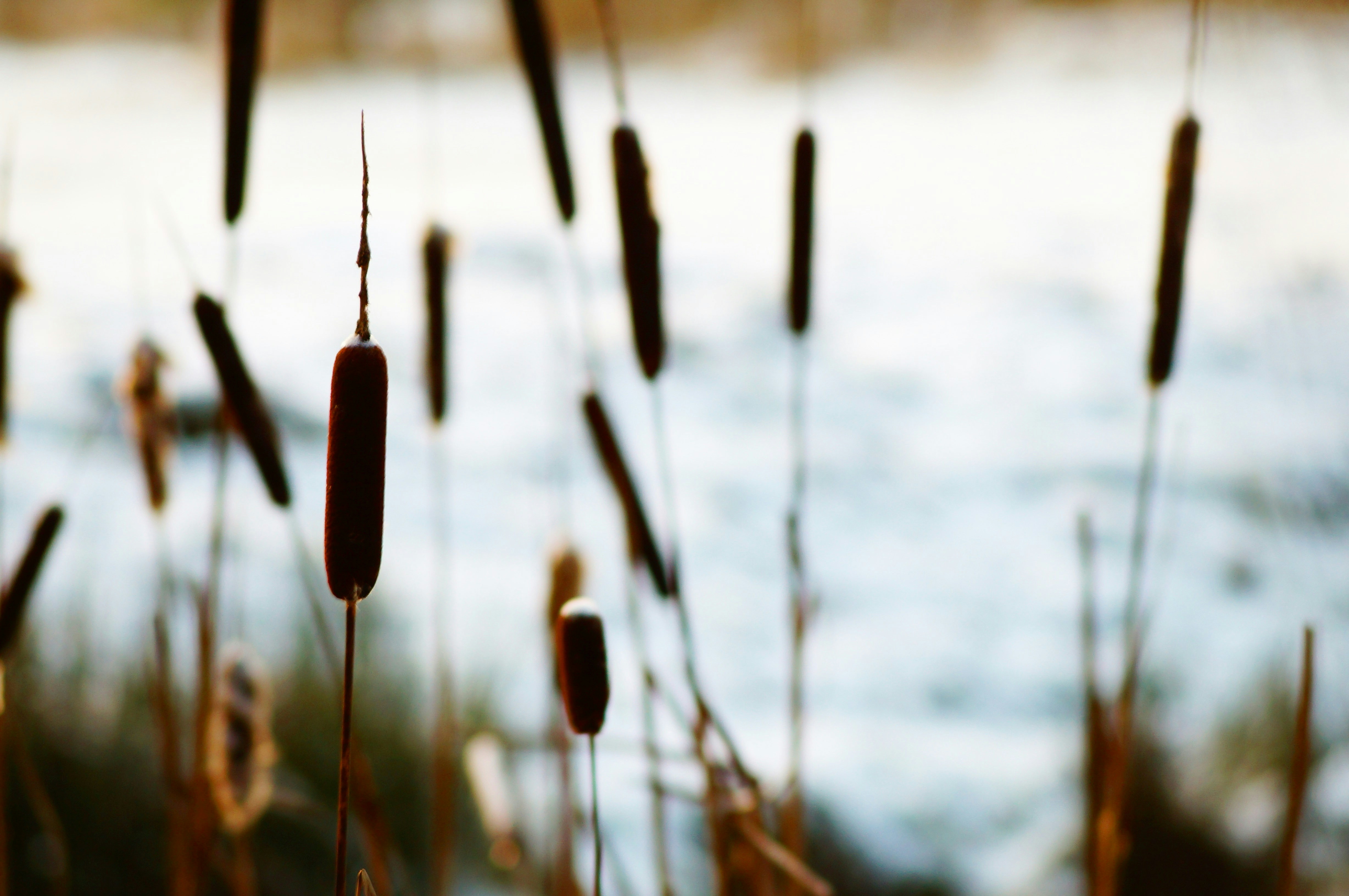 Photo by paveldanilov