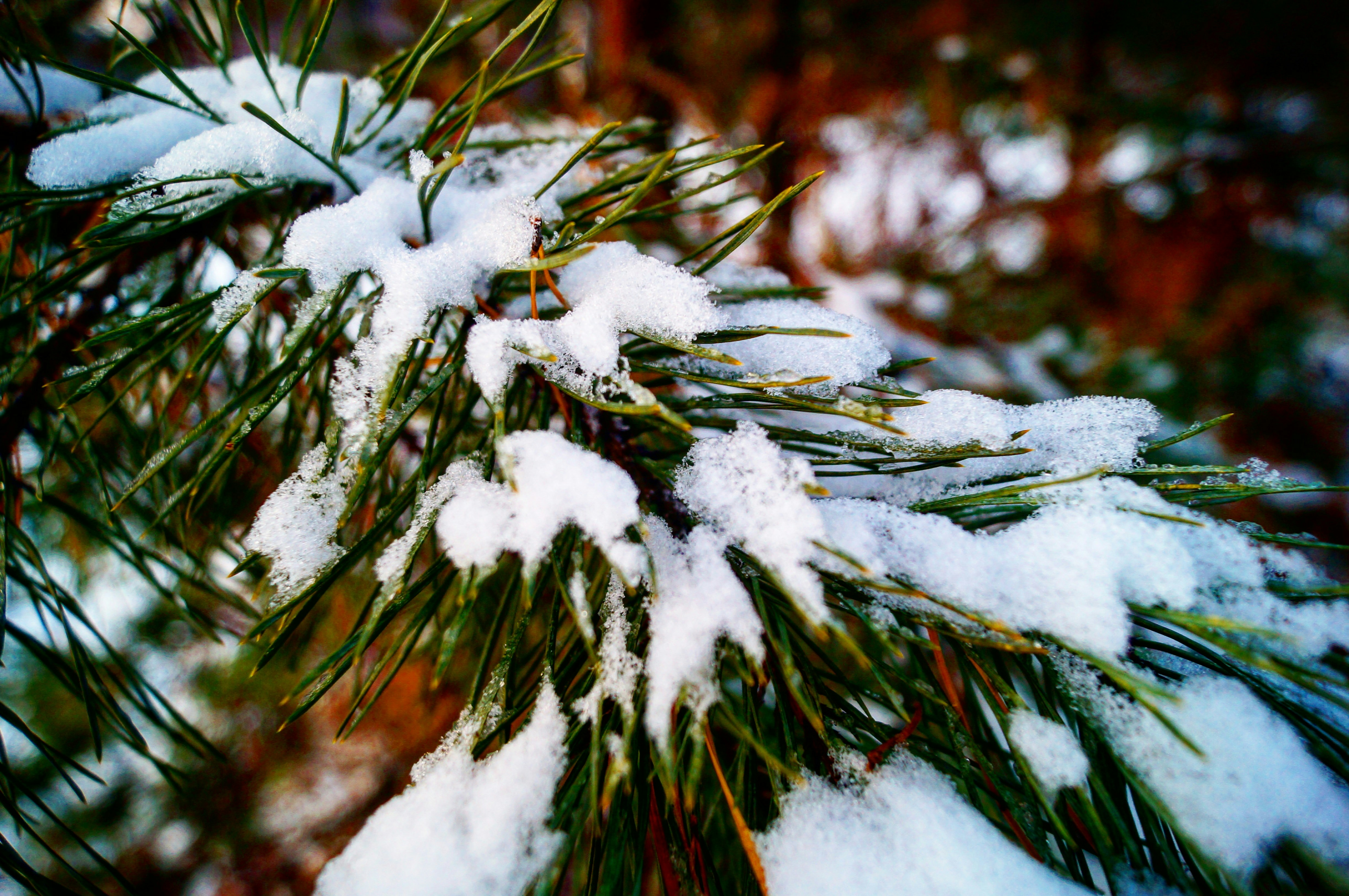 Photo by paveldanilov