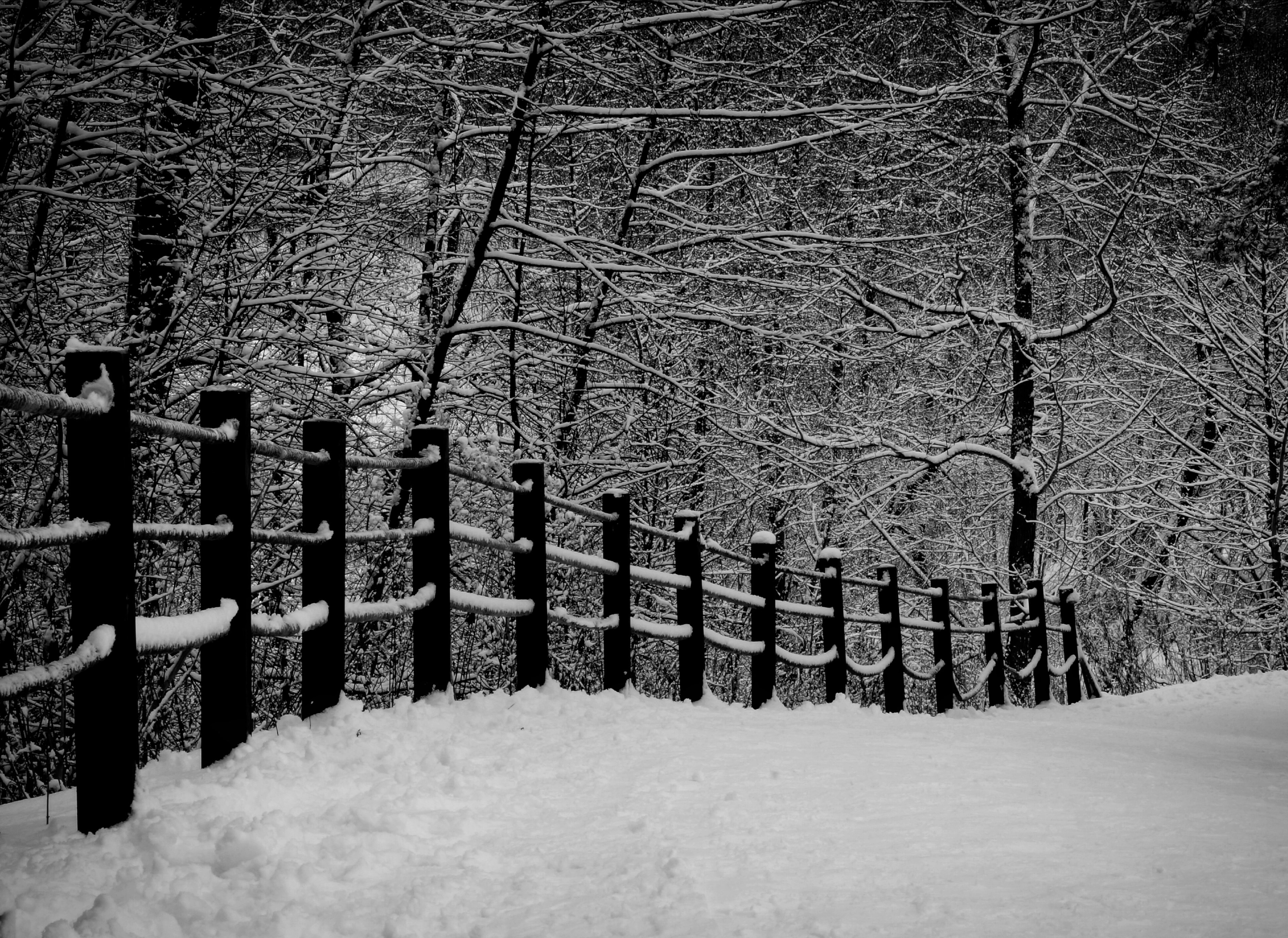 Photo by paveldanilov