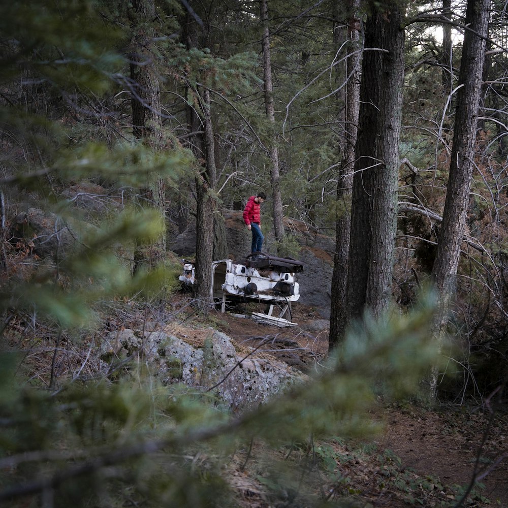 person in red jacket standing on brown dirt road in forest during daytime