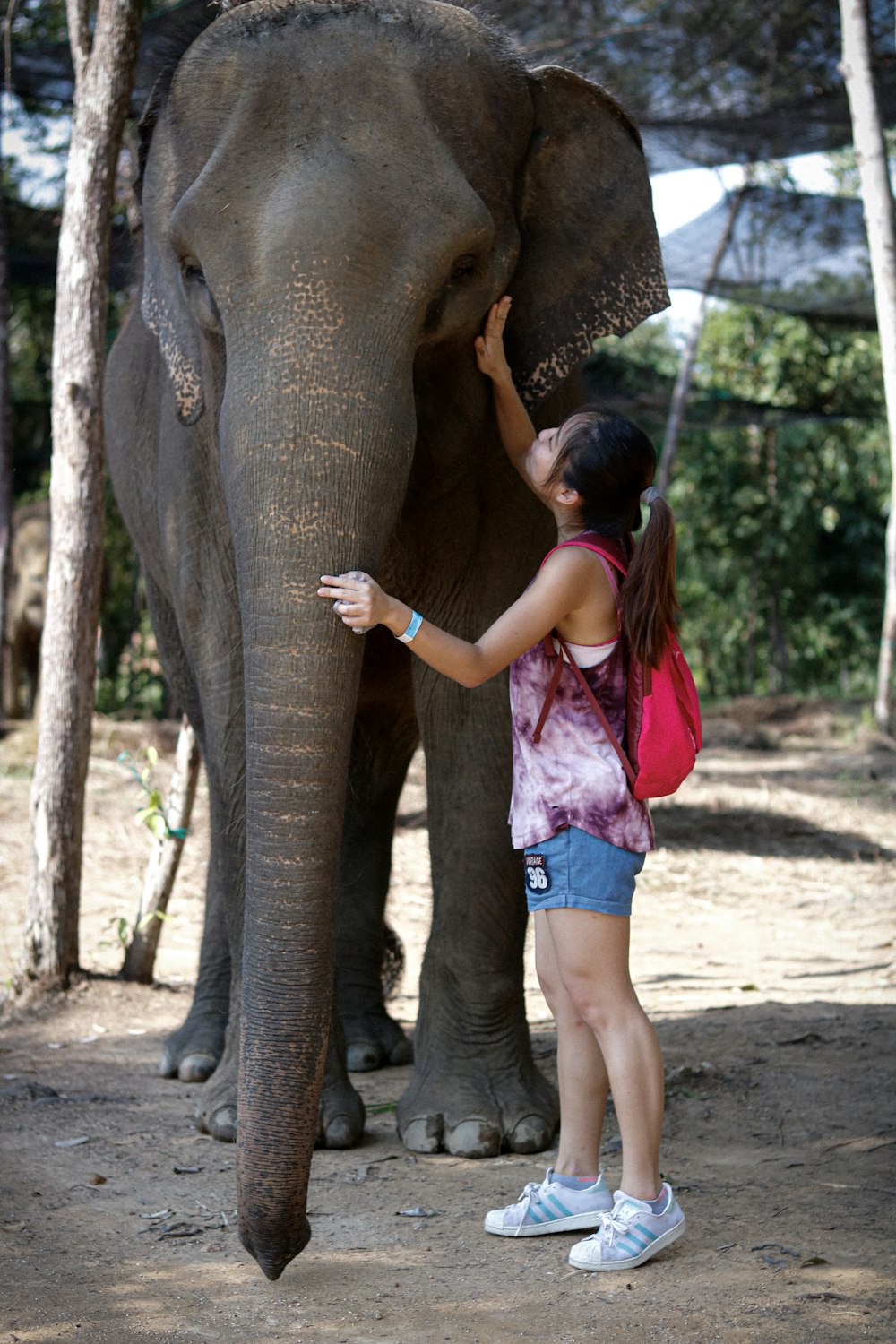 Chica en camiseta sin mangas rosa y pantalones cortos azules de pie junto al elefante durante el día