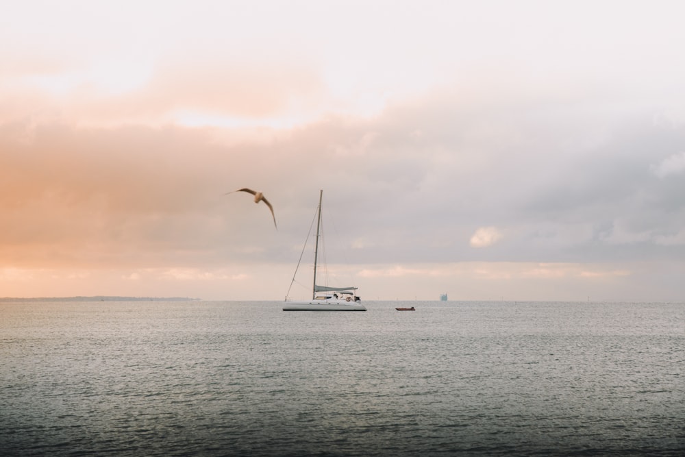 white sailboat on sea under white sky during daytime