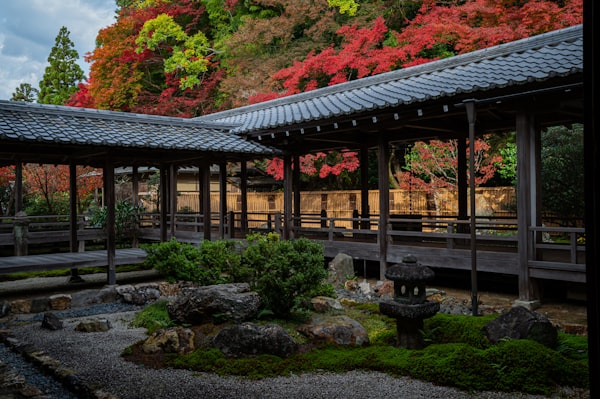 Bunkamura Orchard Hall Area