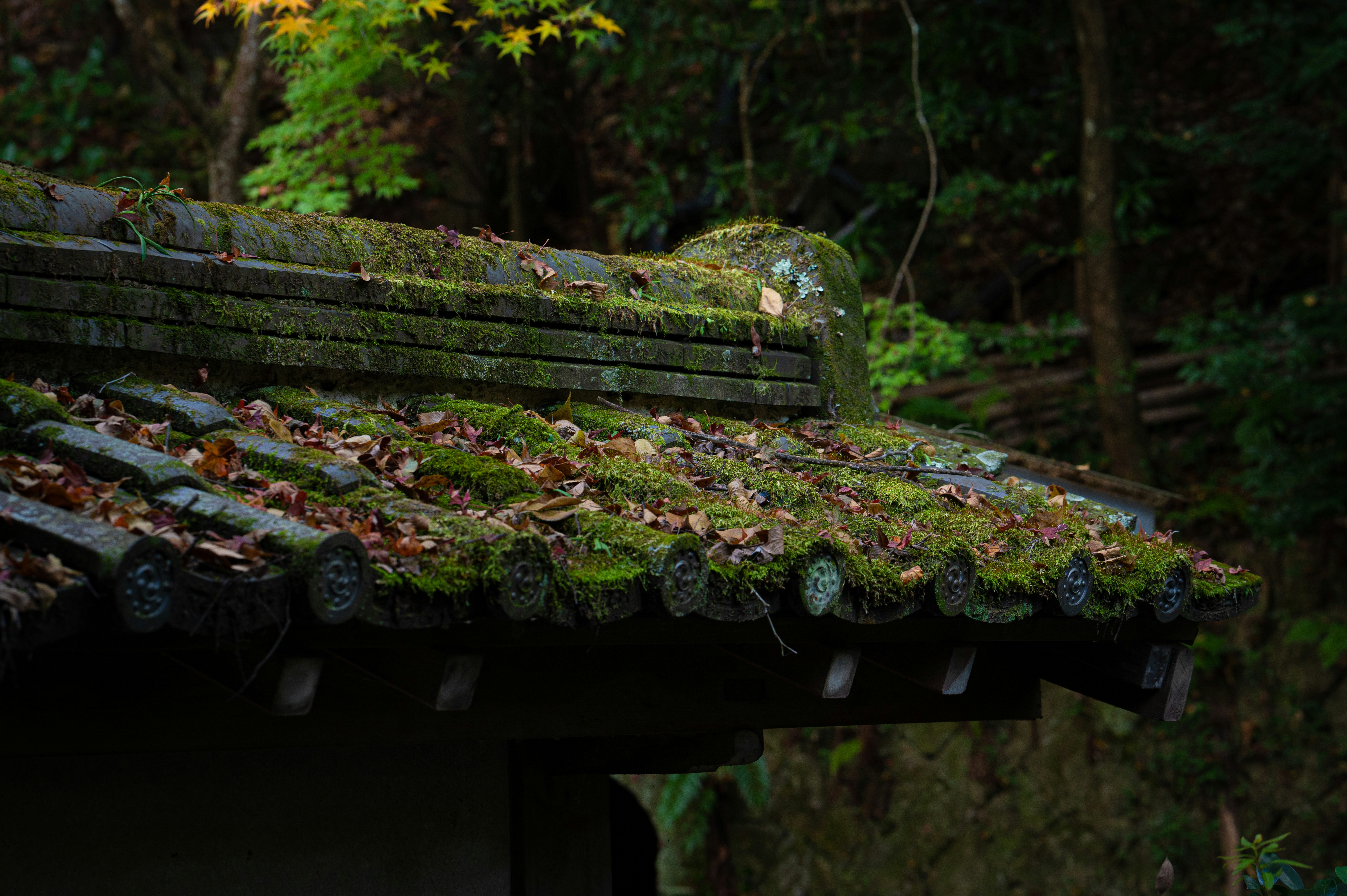 brown wooden roof near green trees during daytime, 