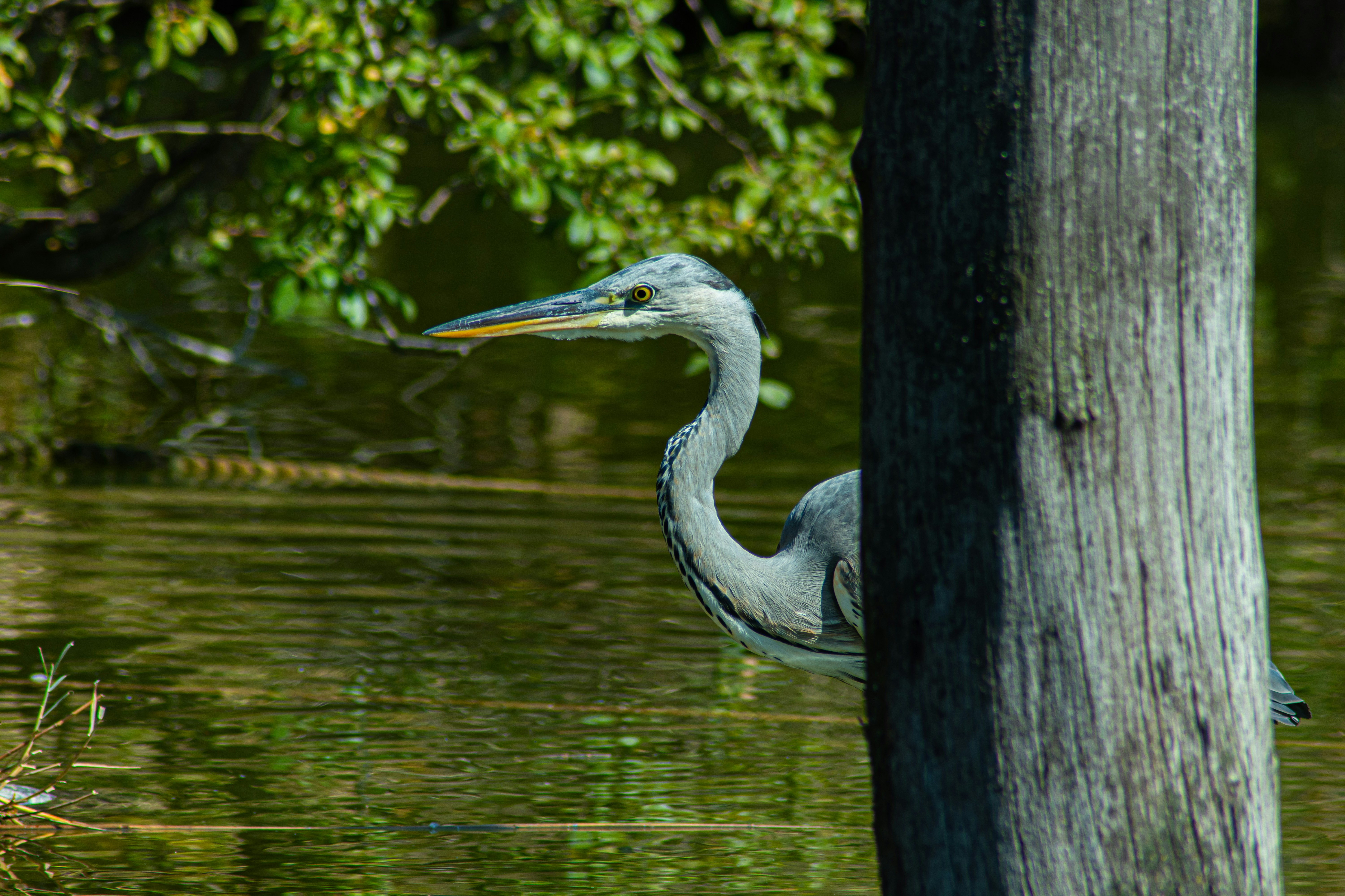 Photo by mmgphotograph