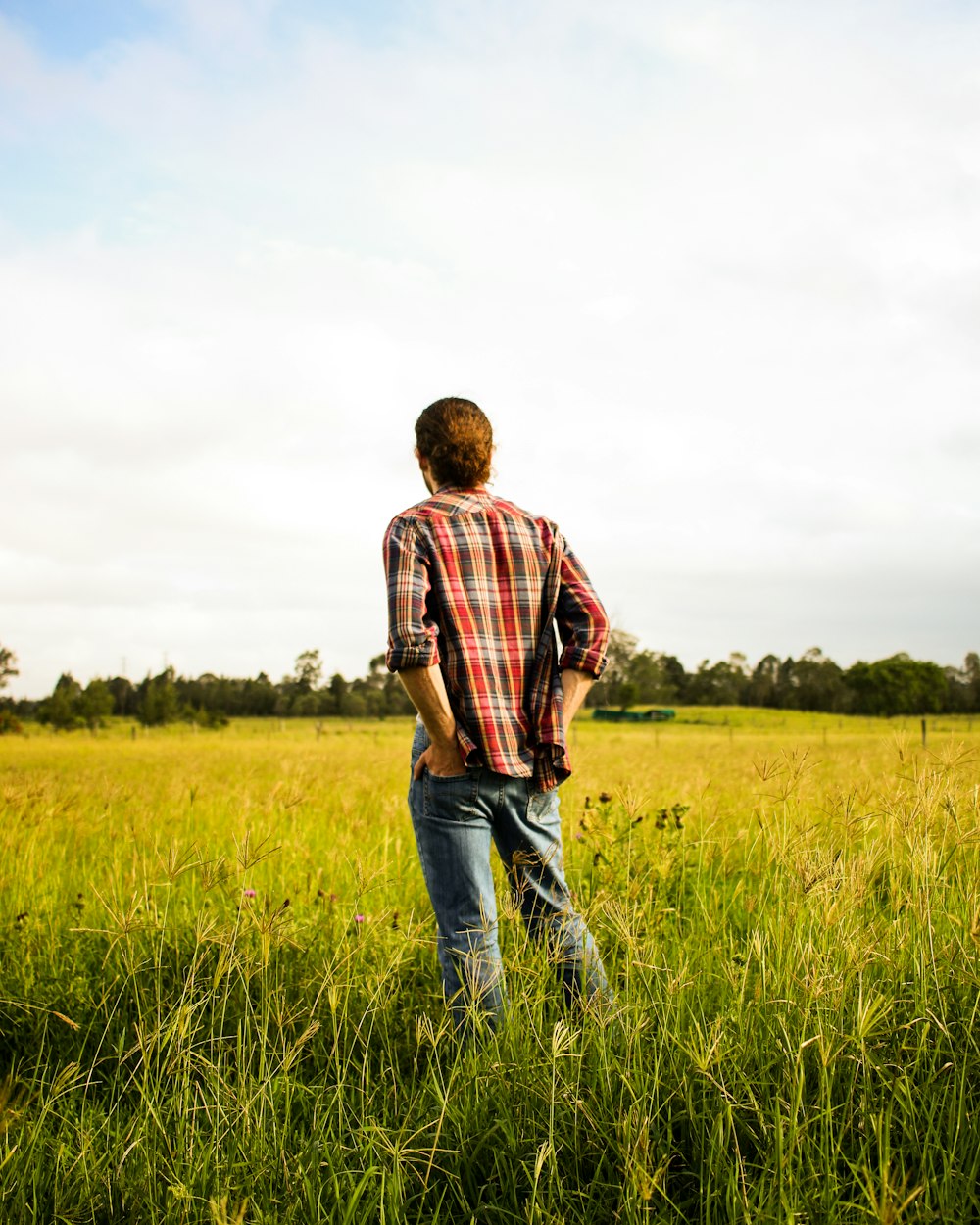 man in red and white plaid dress shirt and blue denim jeans standing on green grass