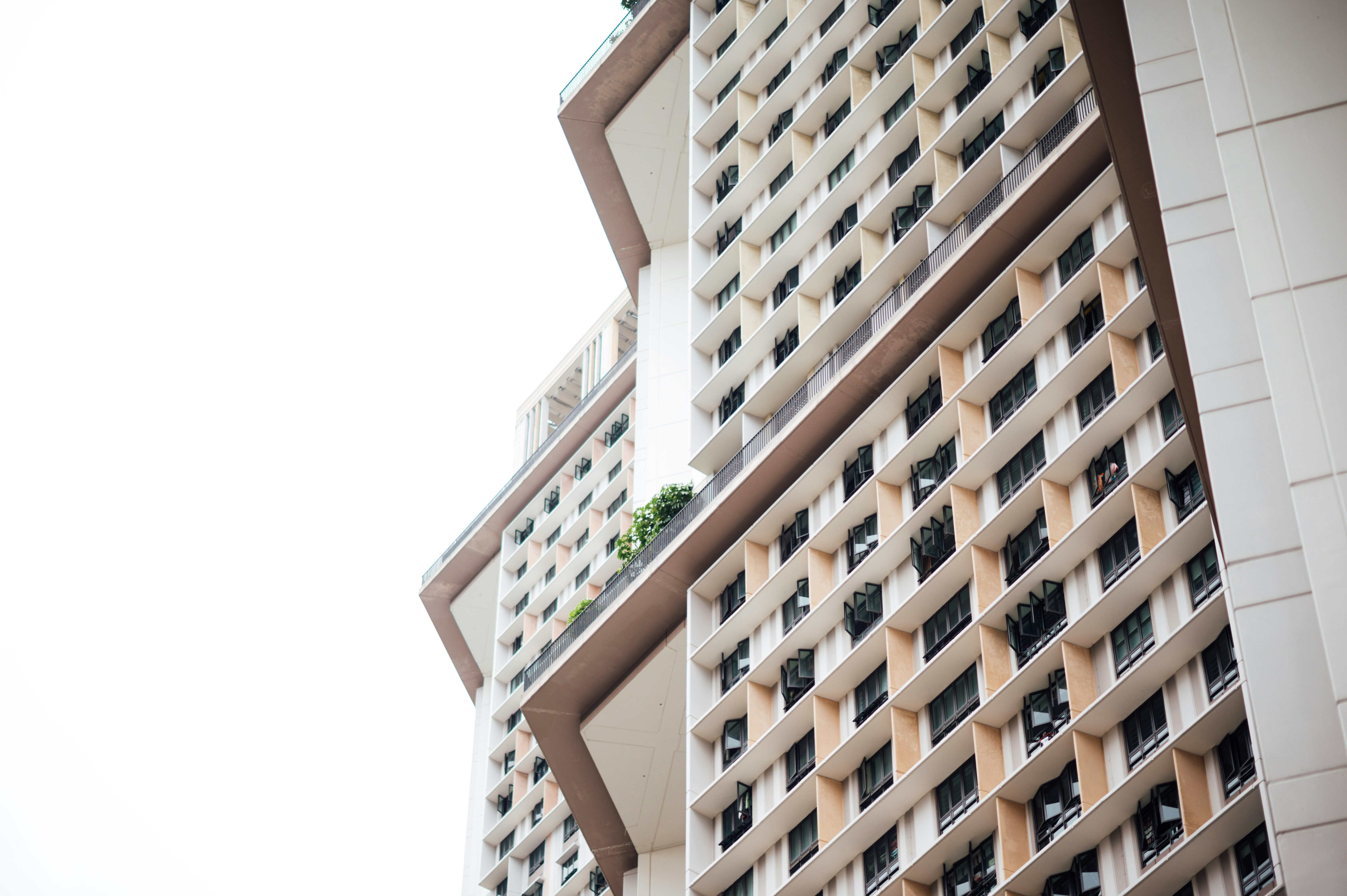 Photo by chuttersnap