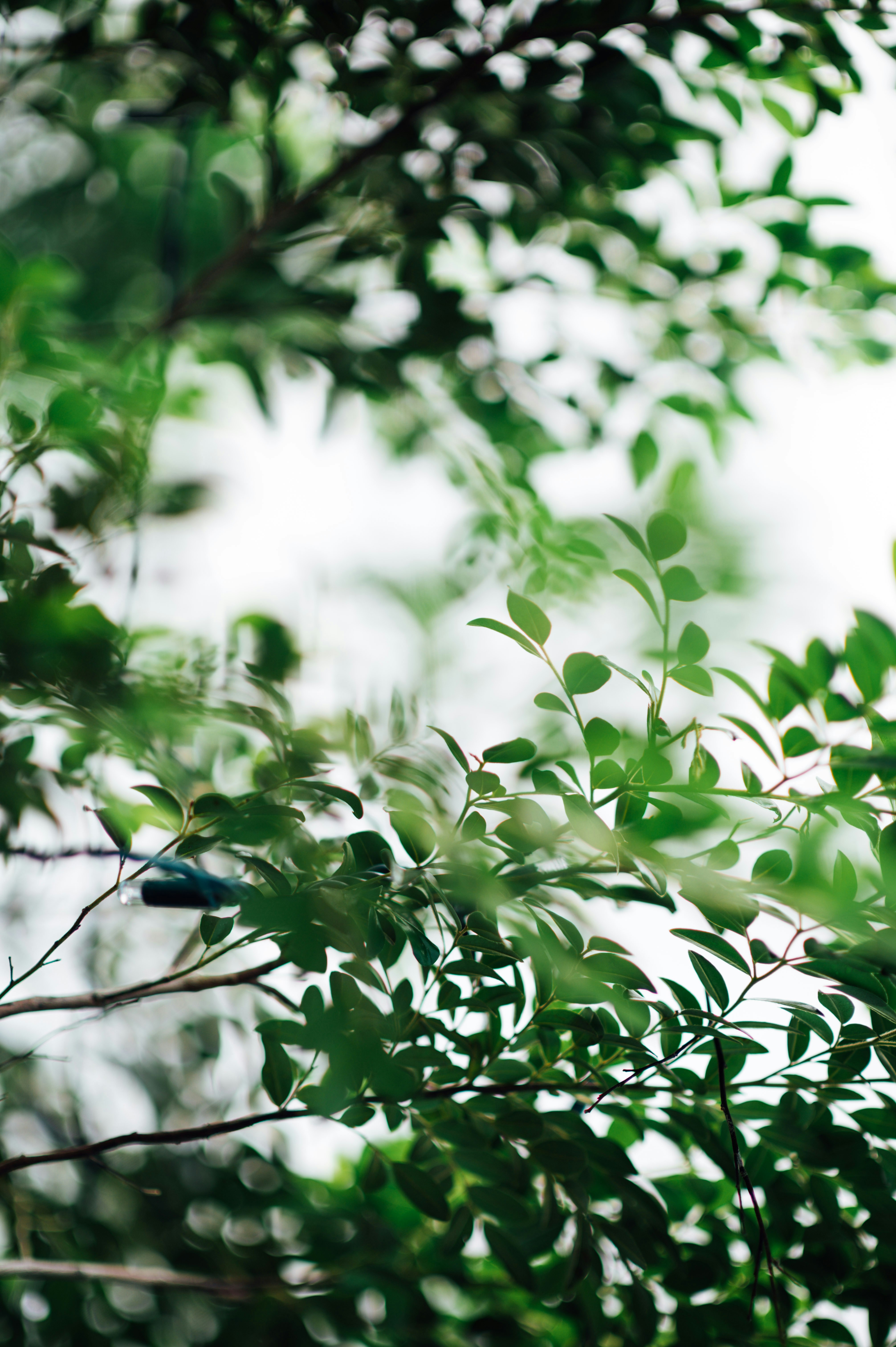 Photo by chuttersnap