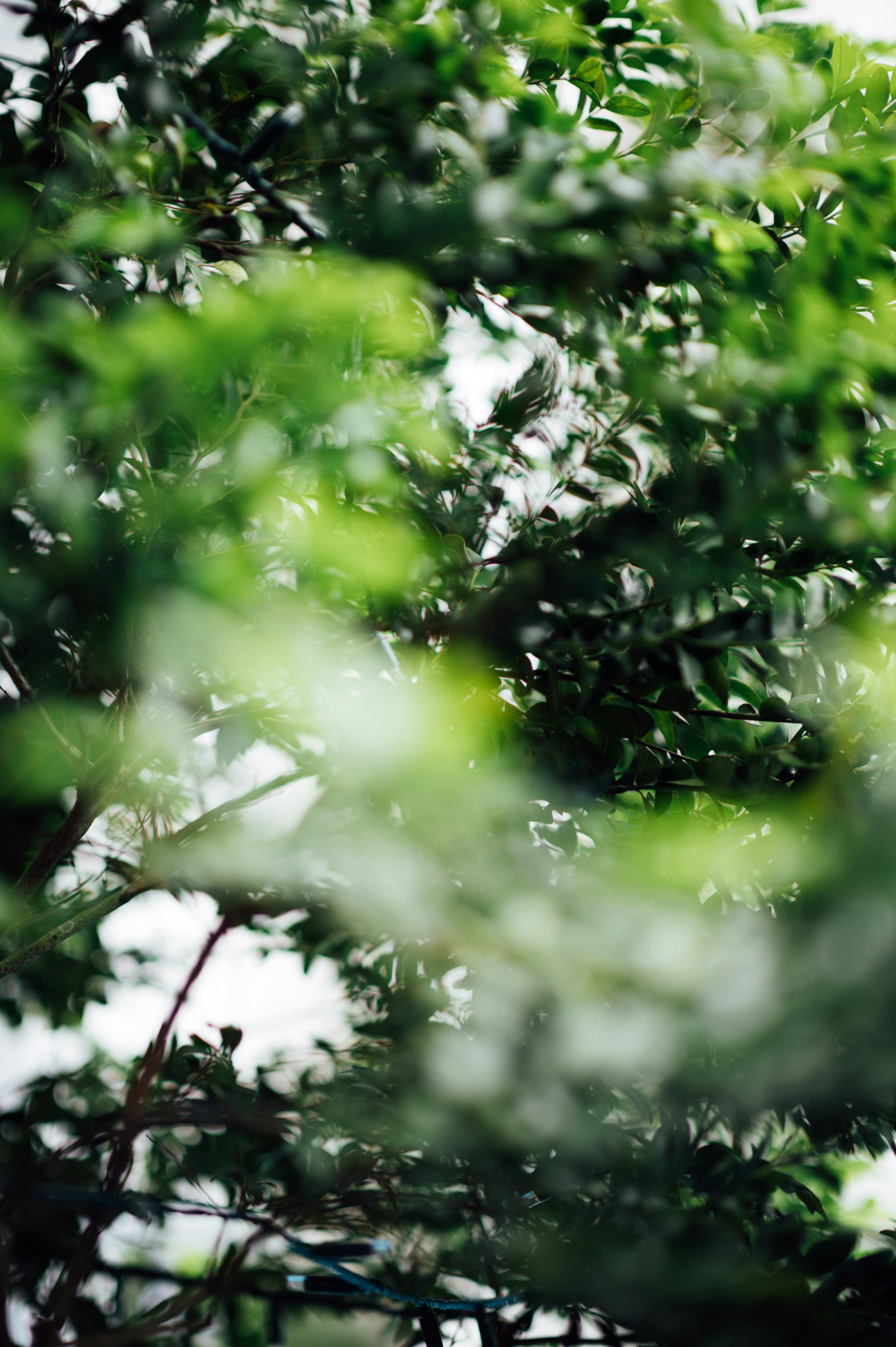 Photo by chuttersnap