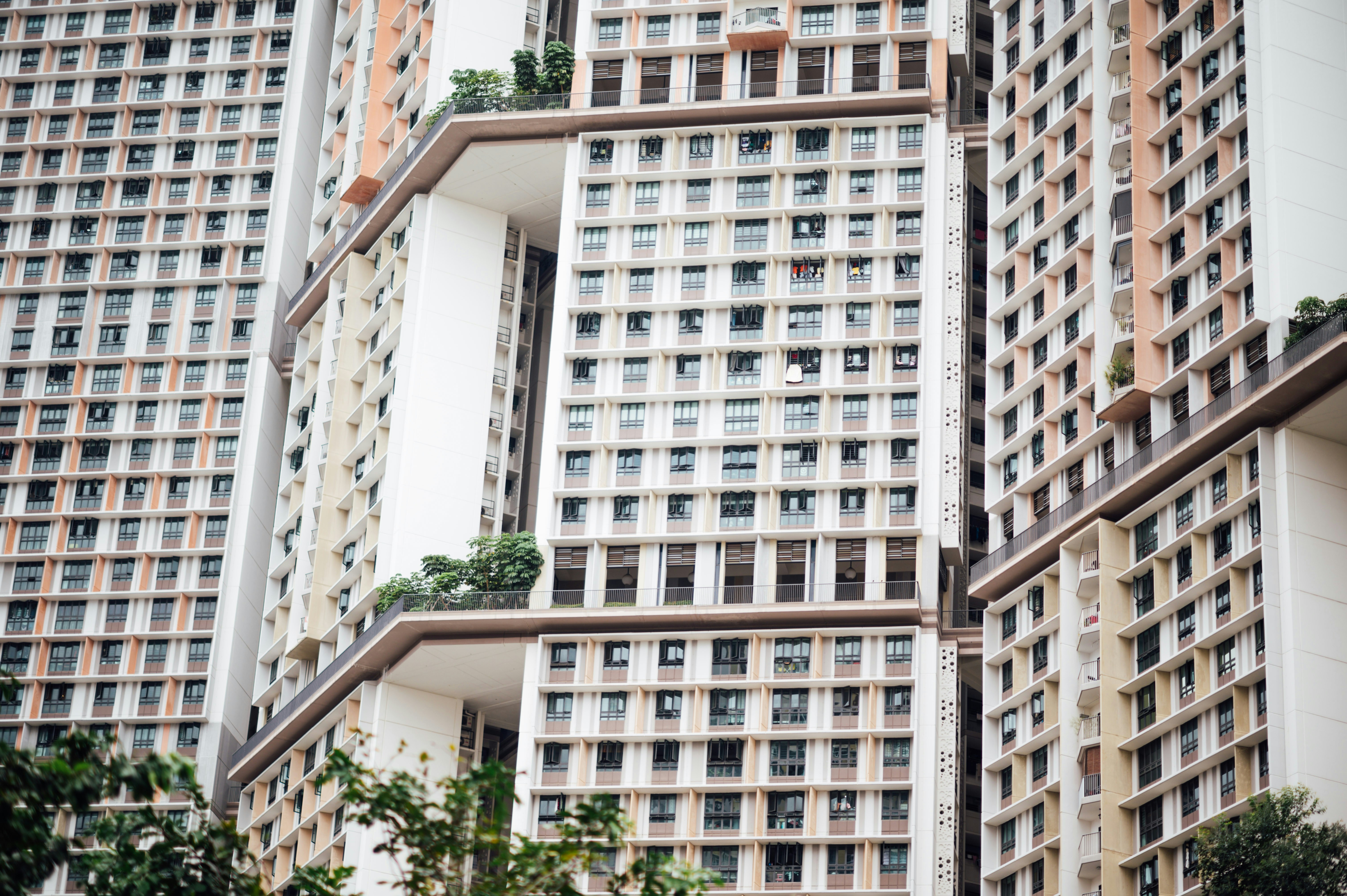 Photo by chuttersnap