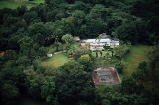 Aerial drone photo showing a modern house surrounded by lush greenery.