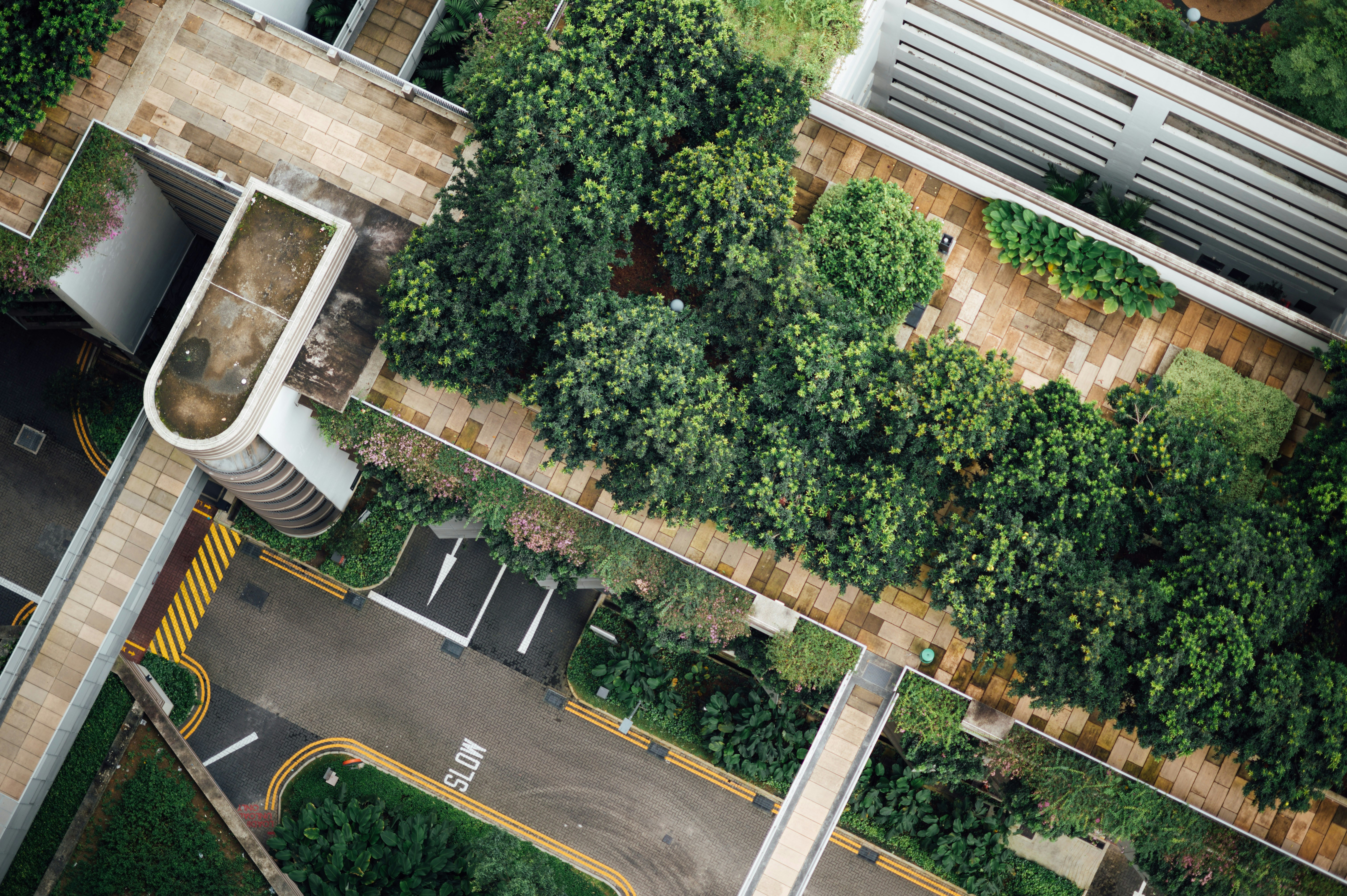 Photo by chuttersnap