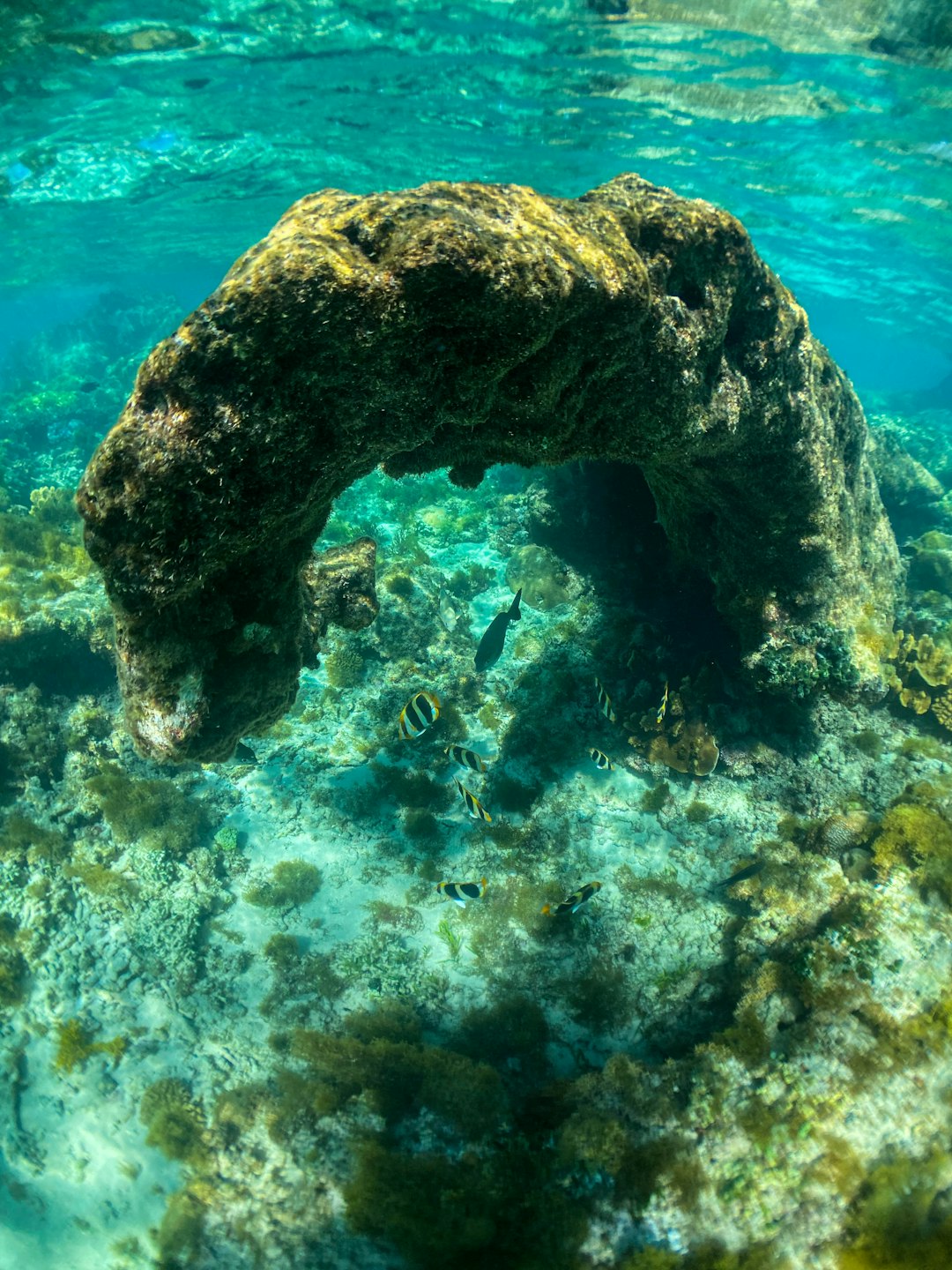 brown and gray rock on body of water