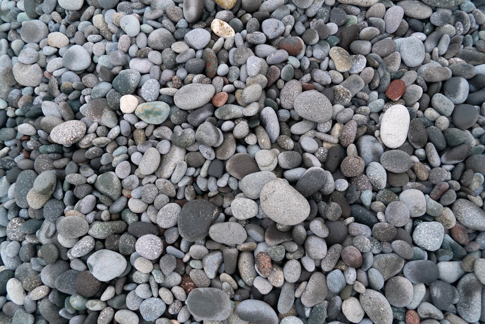 weiße und graue Kieselsteine auf grauen und schwarzen Steinen