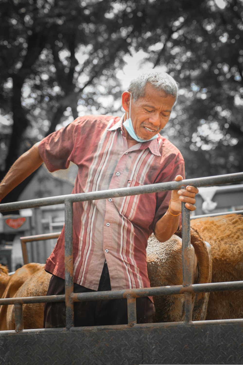 man in red button up shirt standing beside brown horse during daytime