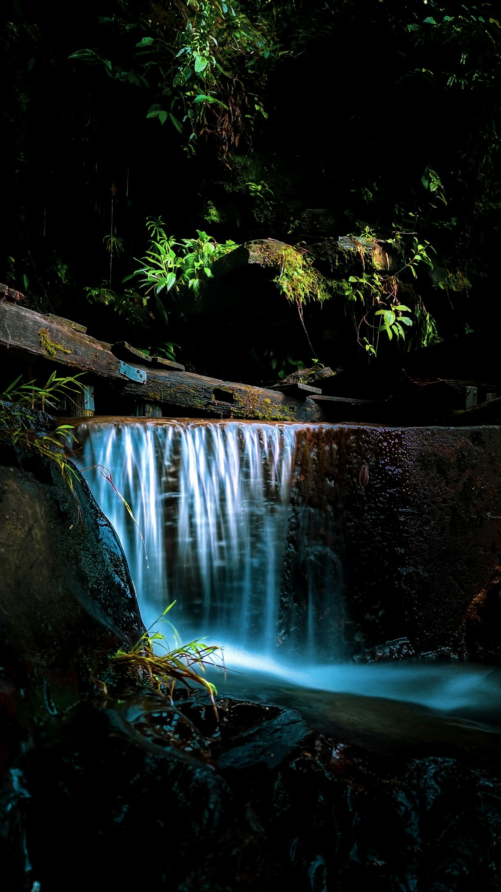 brown tree log on water falls