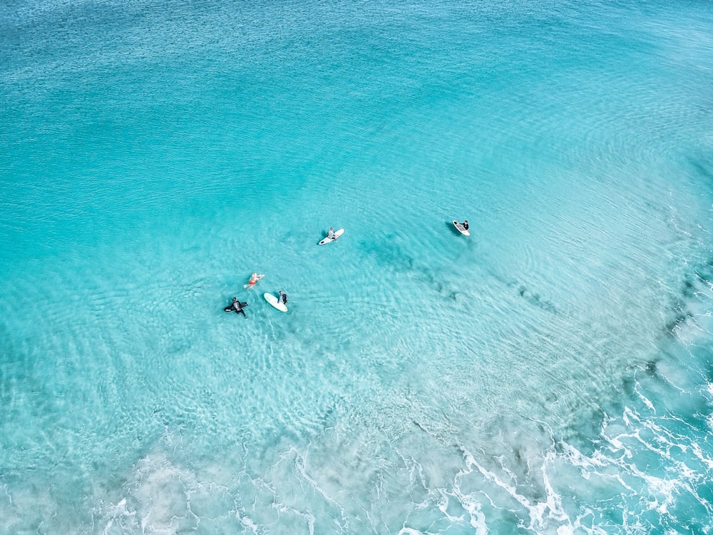 people swimming on beach during daytime