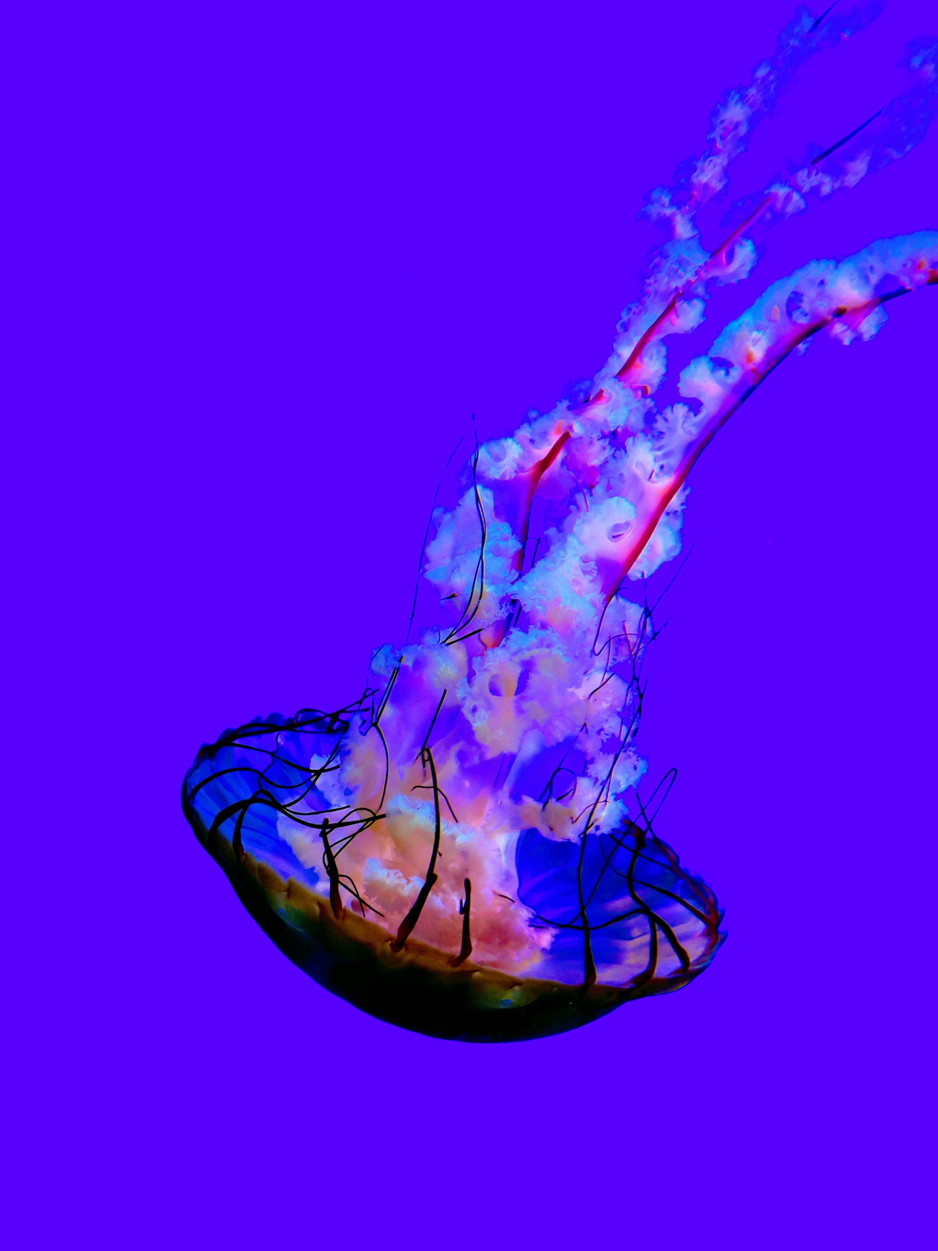 Beacons banner for @dude