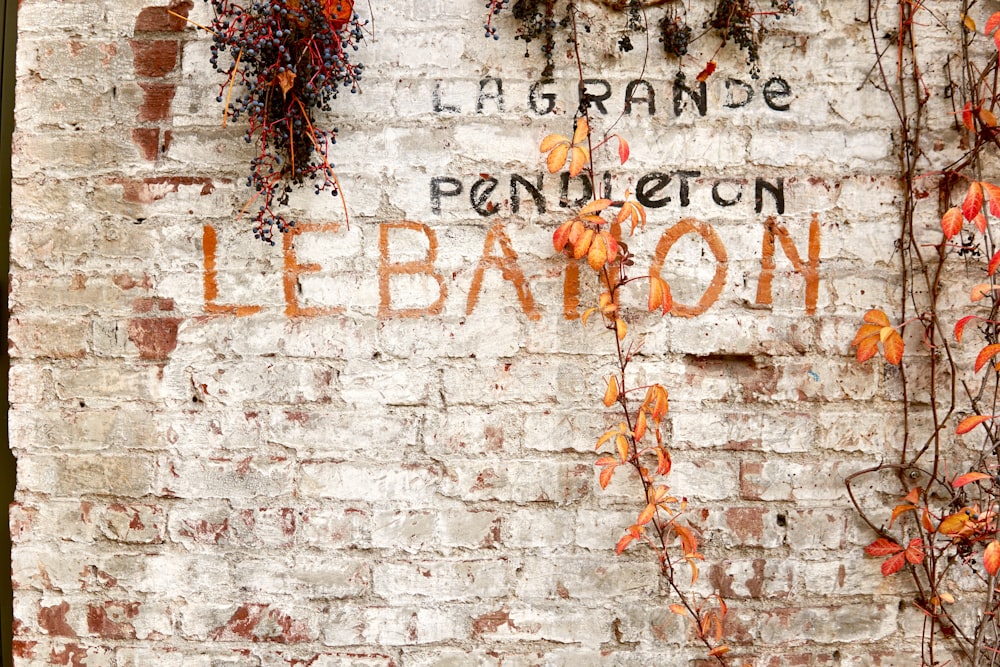 red and brown leaves on white brick wall