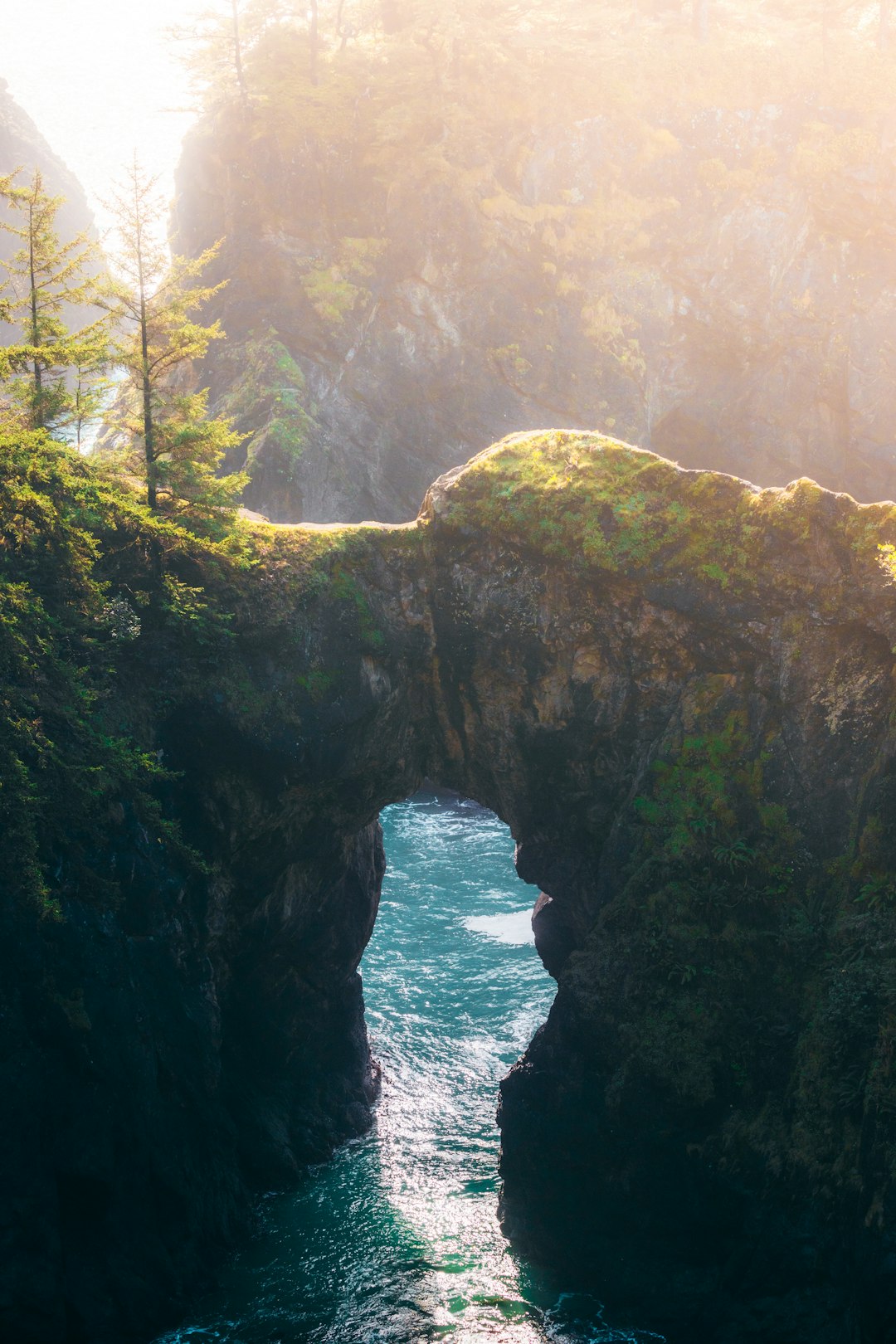 green and brown rock formation near body of water during daytime