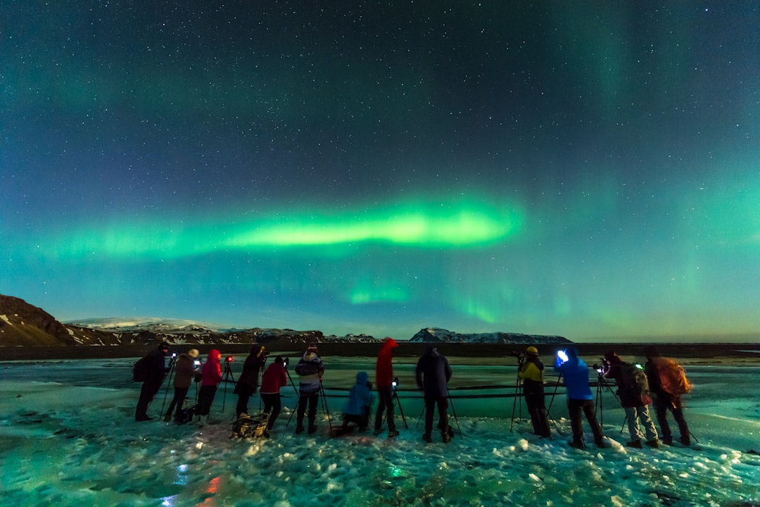 people standing on beach during night time