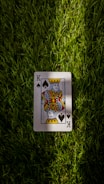 jack of spade playing card on green grass