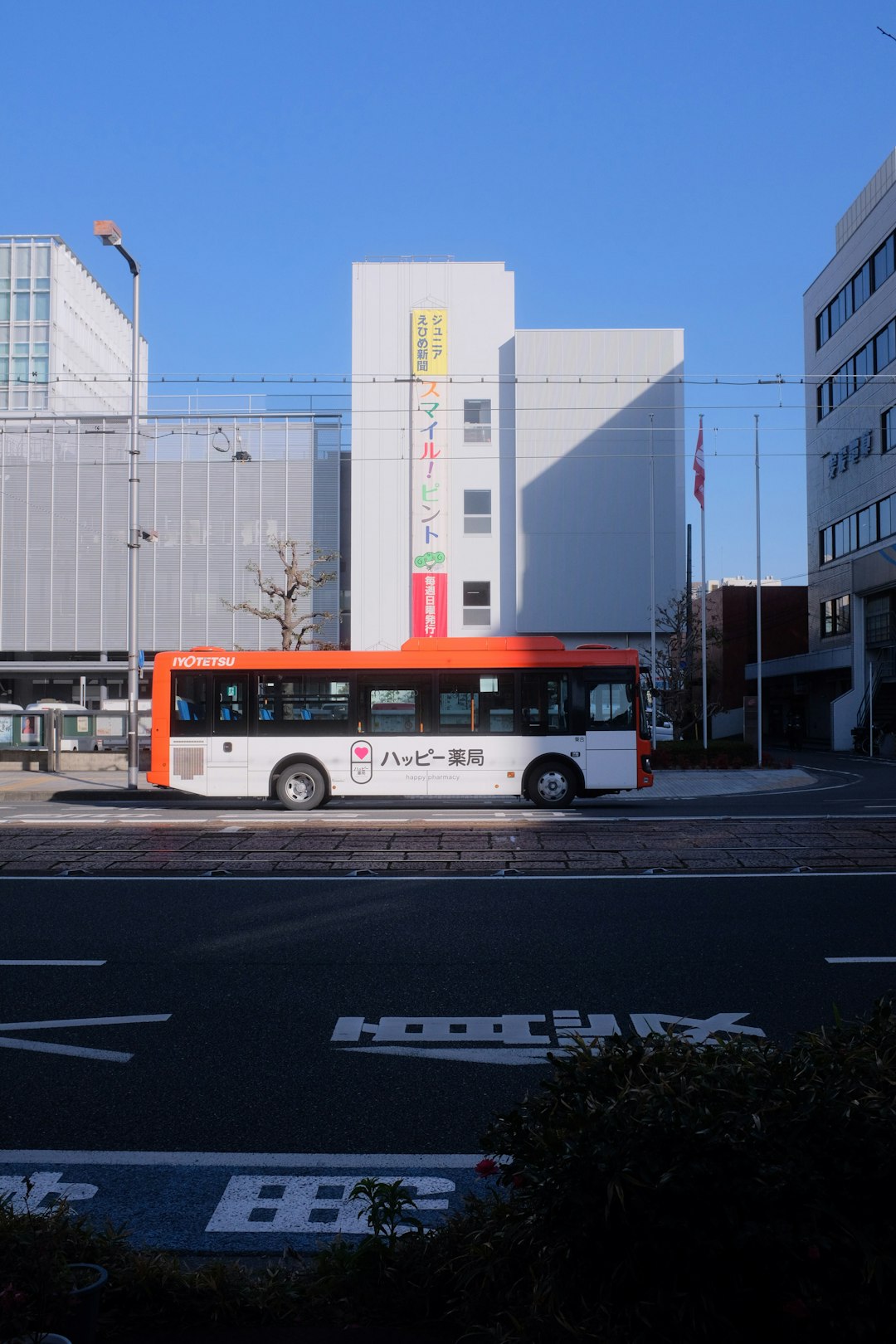 red and white bus on road during daytime