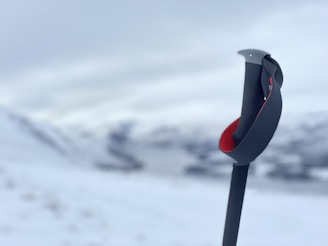 A close-up of The Ski Watch attached to a ski pole with snowy mountains in the background.