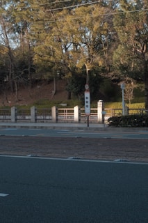 View of the quiet green neighborhood near the veterinary school bus stop.