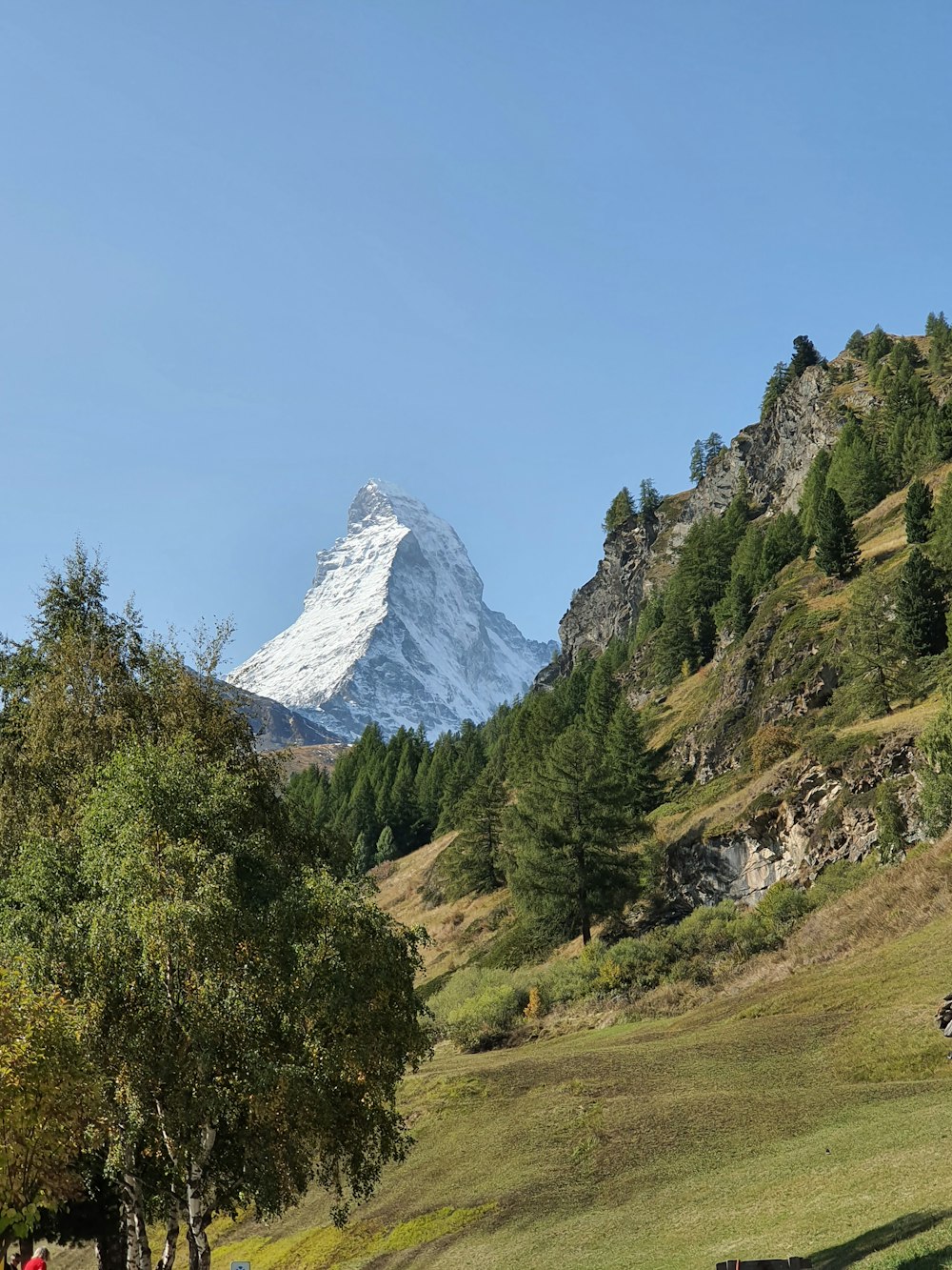 green trees and mountain under blue sky during daytime