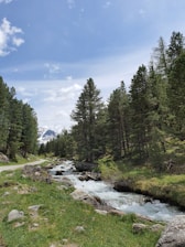 A serene mountain landscape with evergreen trees under a clear blue sky, reflecting the Rocky Mountain tones of the academy.