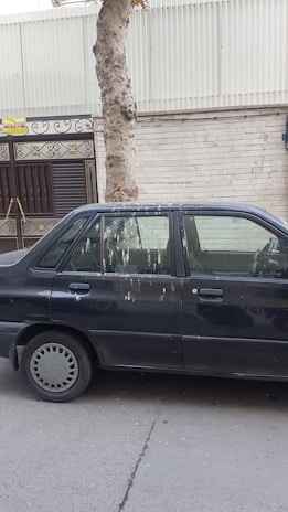 A parked black car with bird droppings on its roof and windows, positioned next to a leafless tree on a city street. The background includes a textured wall and a decorative metal gate.