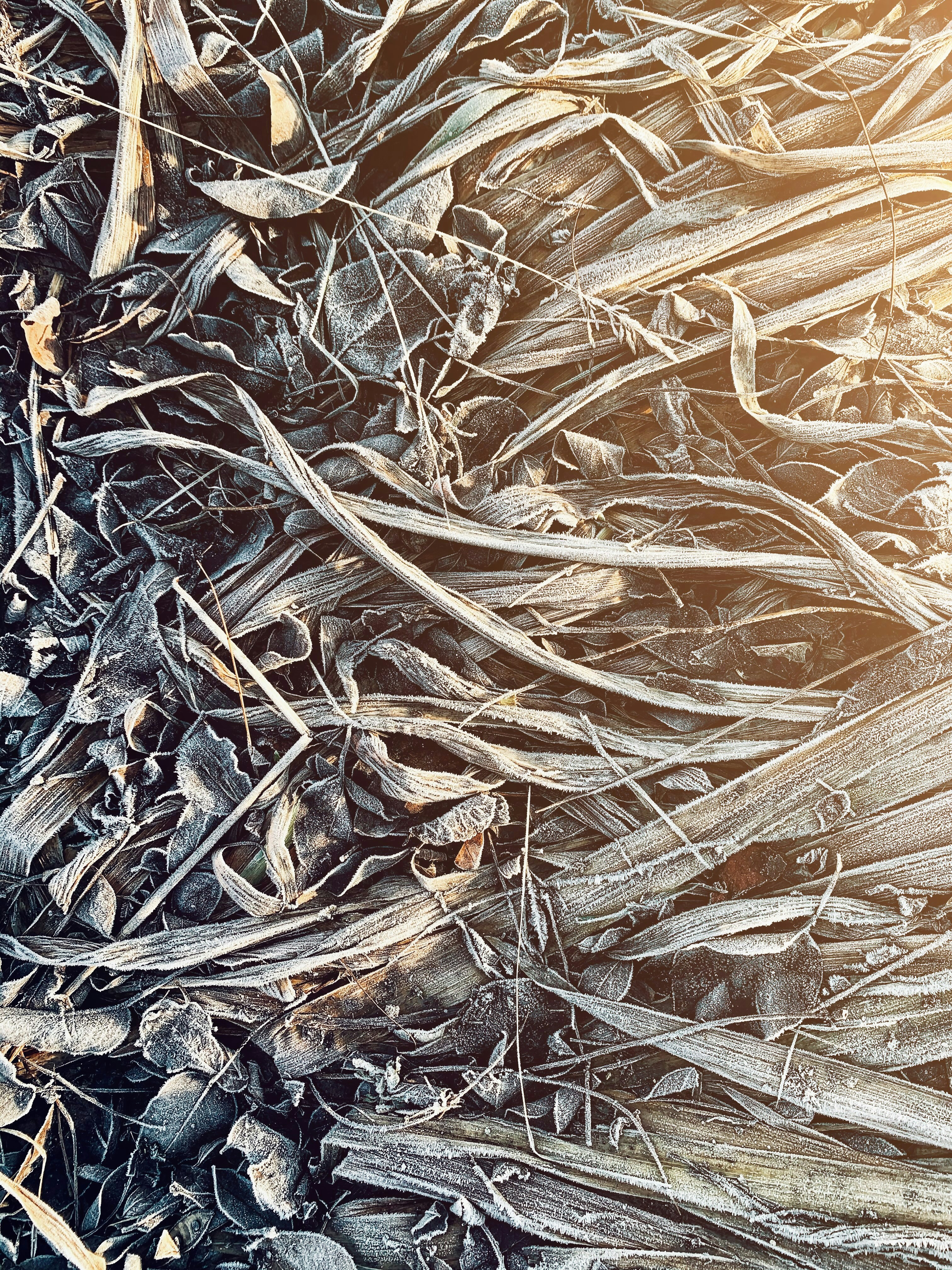 Photo by arthur_oleynik