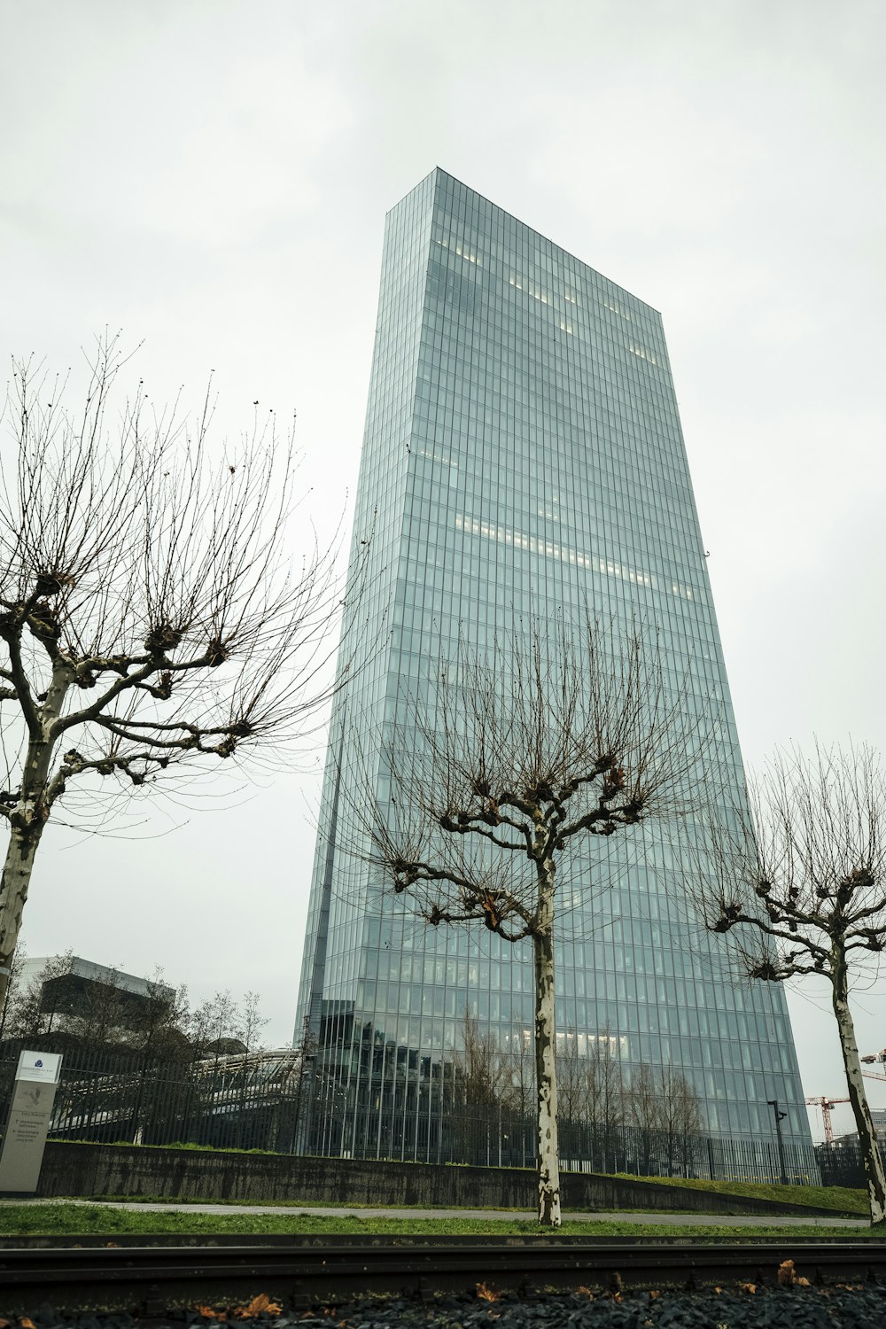 bare tree near glass building during daytime