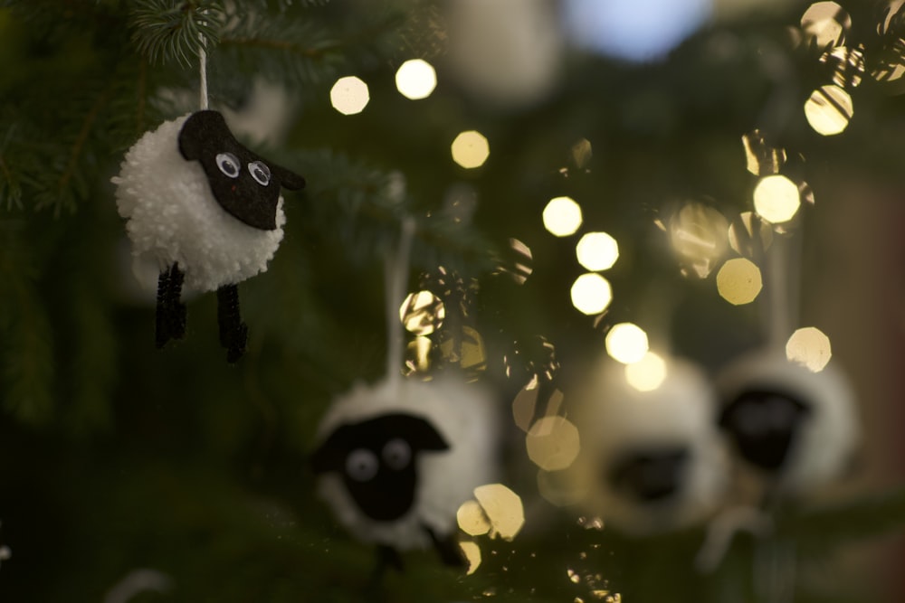 black and white panda on tree branch