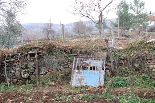An overgrown garden area with a rustic, makeshift fence composed of wooden branches and metal pieces. Leafless trees stand in the foreground, surrounded by a stone wall, with climbing plants and scattered foliage. In the background, rural land with sparse vegetation and distant hills can be seen.