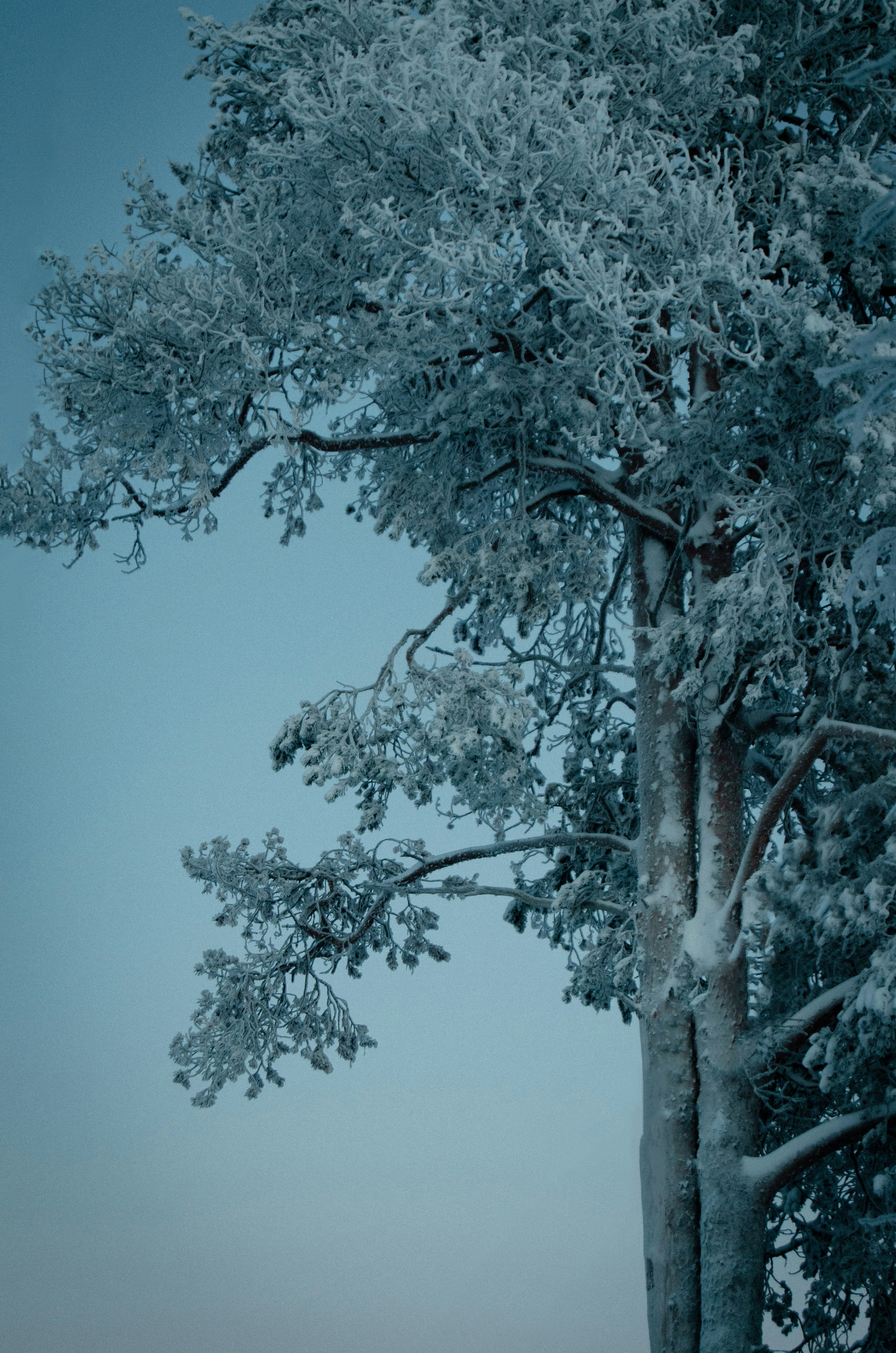 Photo by shklyaevmax